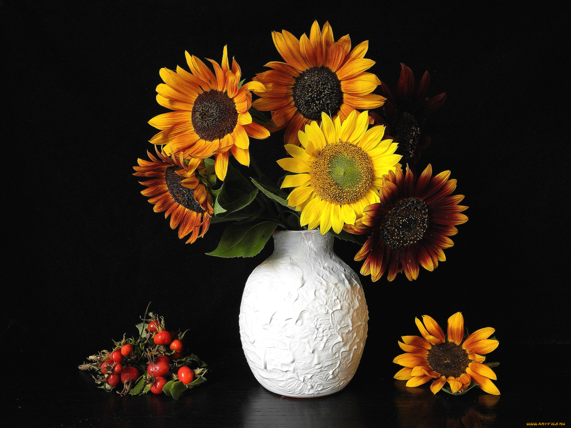 цветы, подсолнухи, букет, шиповник