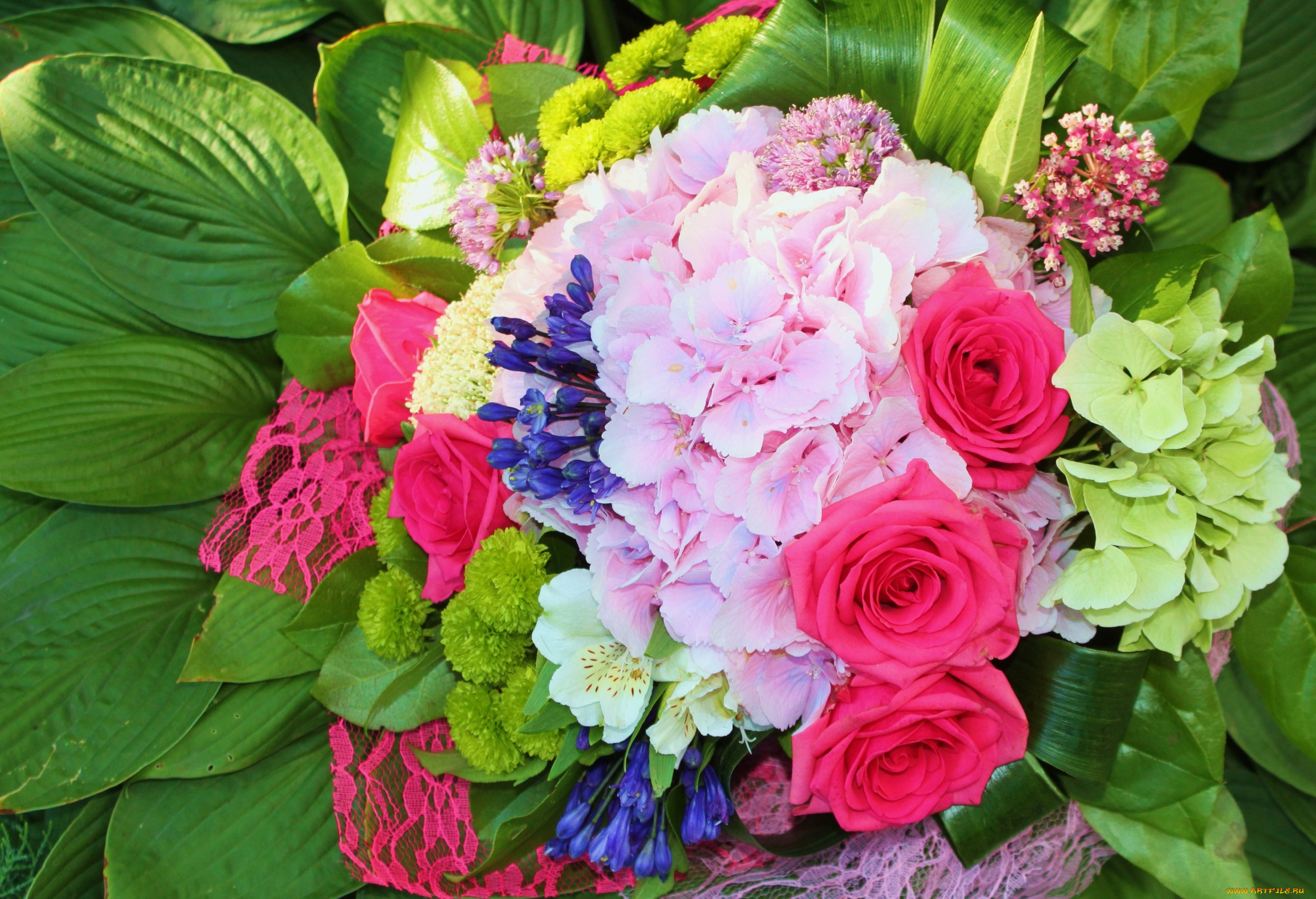 цветы, букеты, , композиции, хризантемы, гортензия, розы