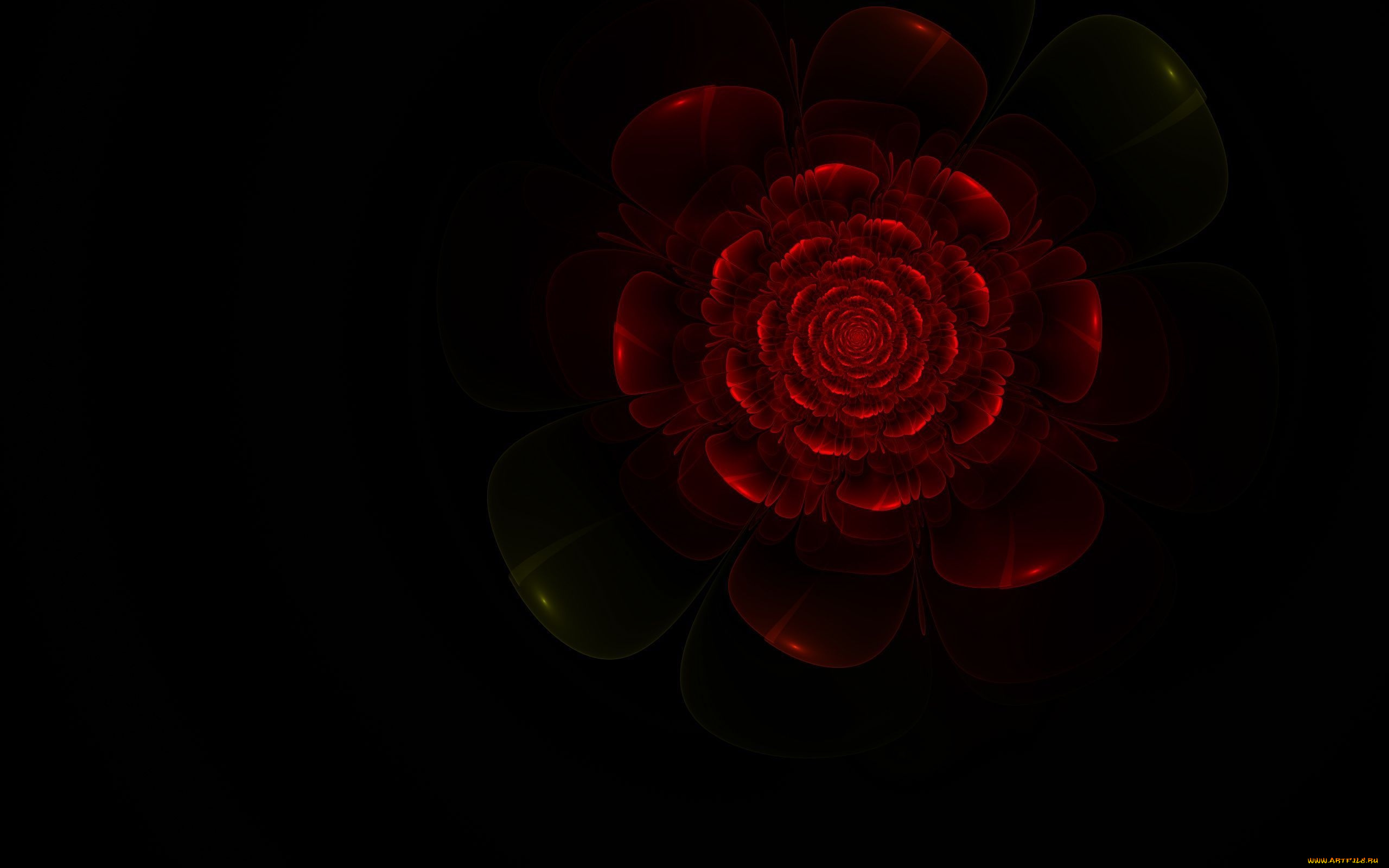 3д, графика, цветы, , flowers, роза