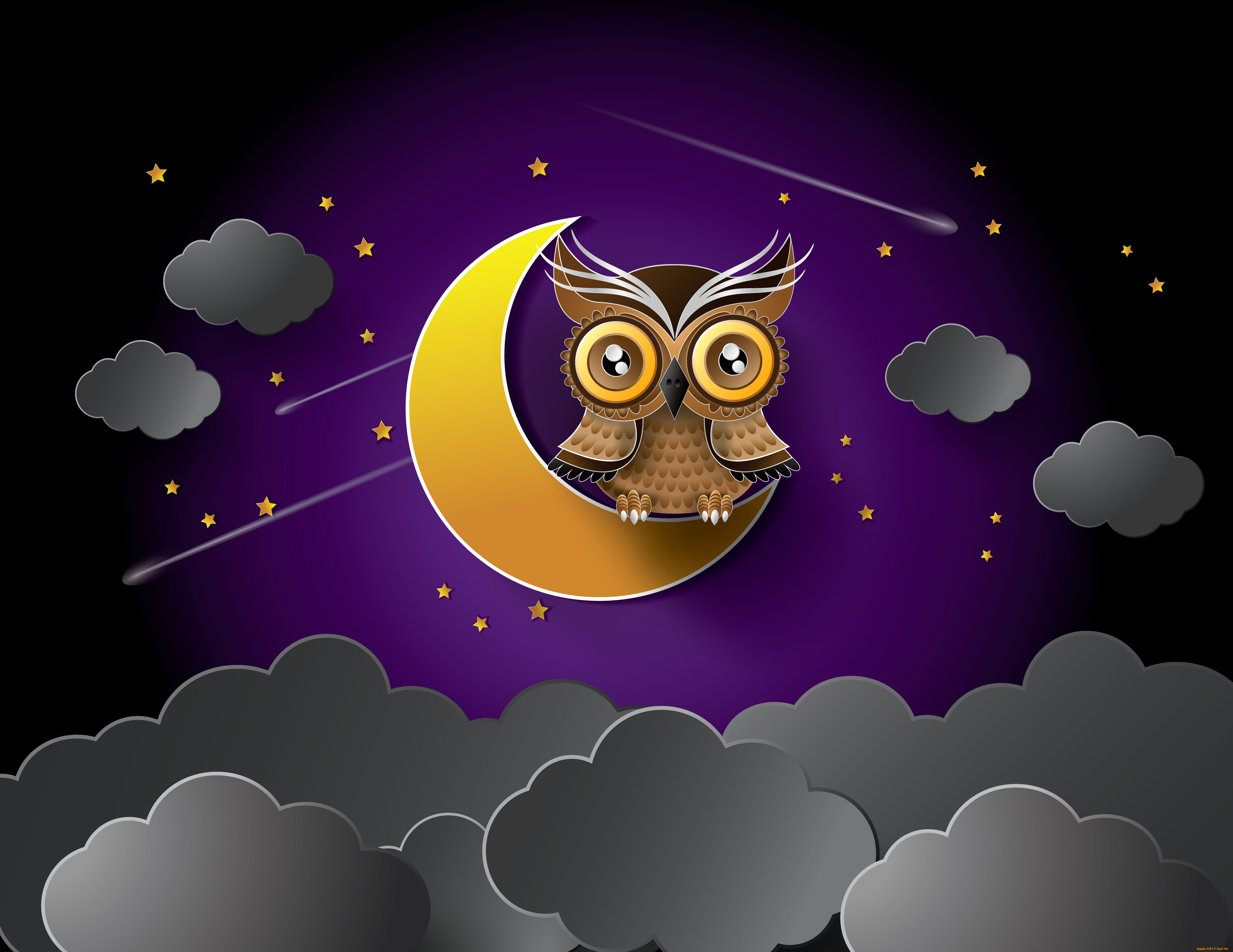 векторная, графика, птицы, звезды, ночь, сова, тучи, луна