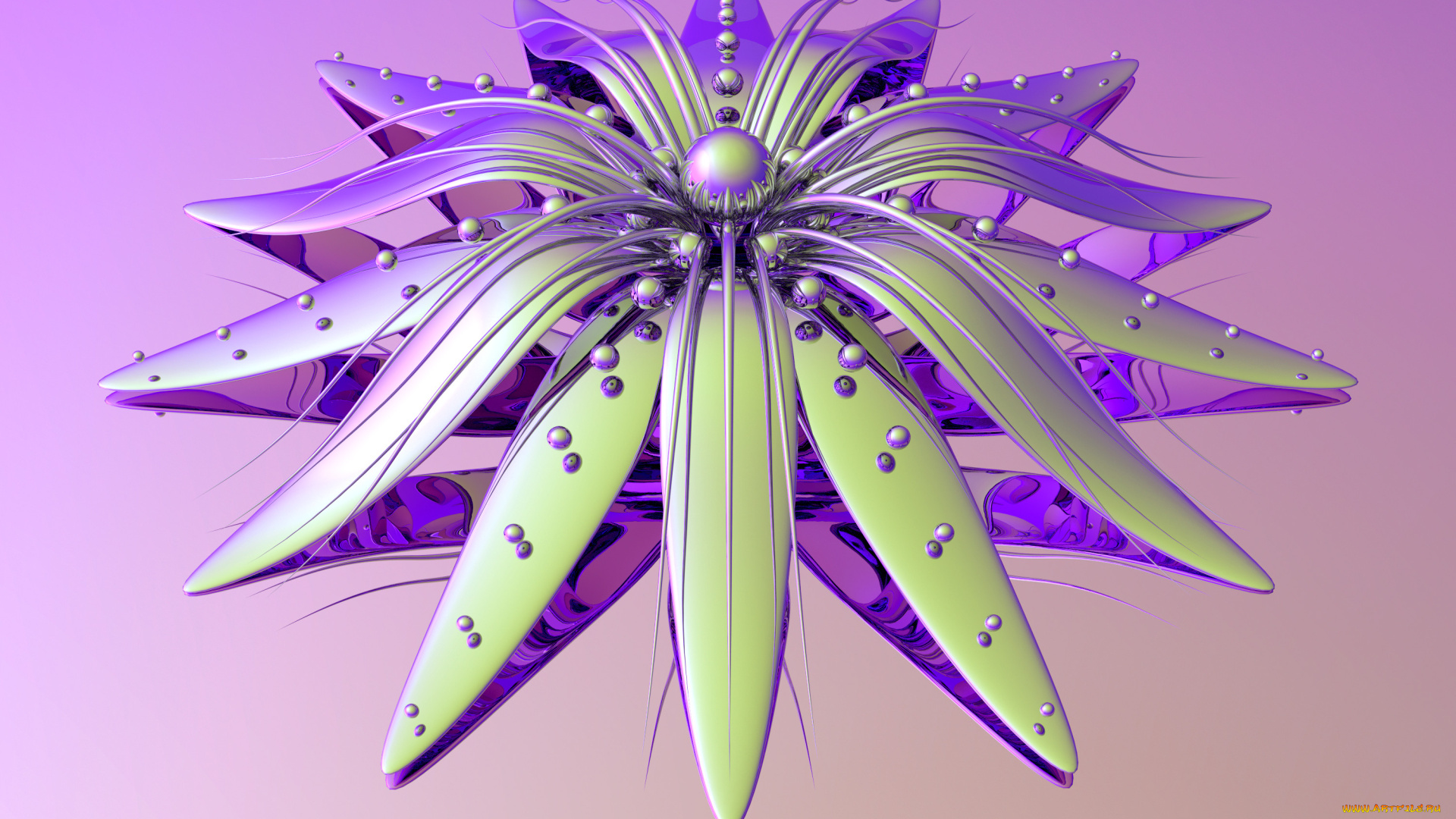 3д, графика, абстракция, , abstract, узор, фон, цвета, лелестки