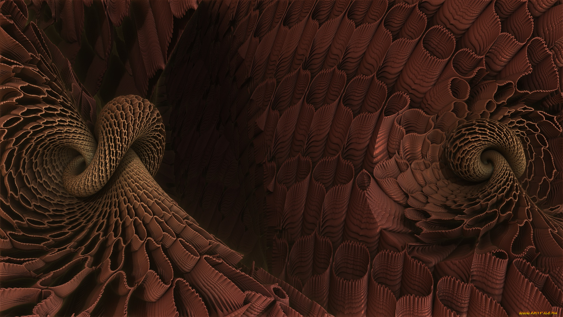 3д, графика, фракталы, , fractal, узор, фон, цвета