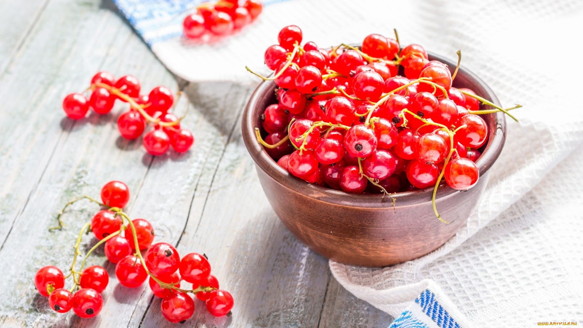 еда, смородина, ягоды, красная