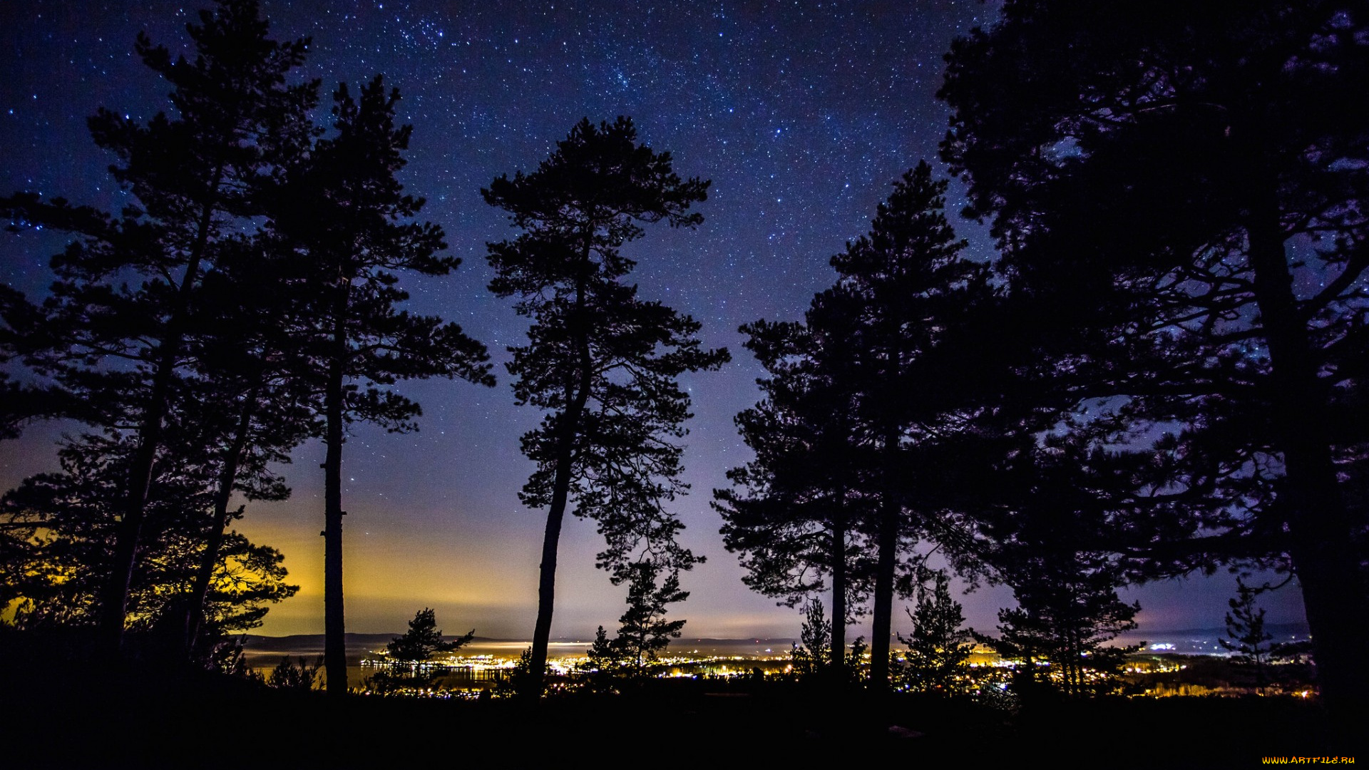 природа, деревья, силуэт, швеция, ночь, огни