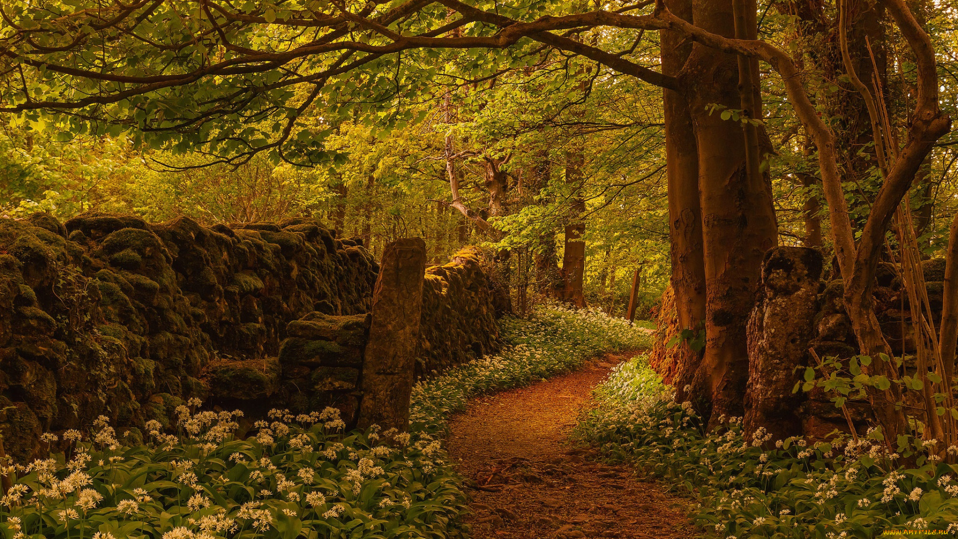 природа, дороги, англия, забор, деревья, цветы, тропинка