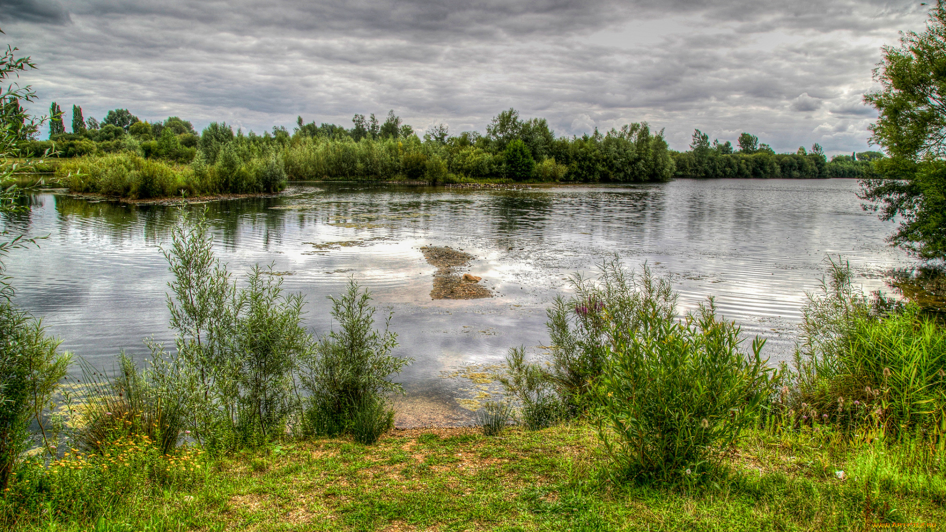 природа, реки, озера, лес, заросли, тучи, река