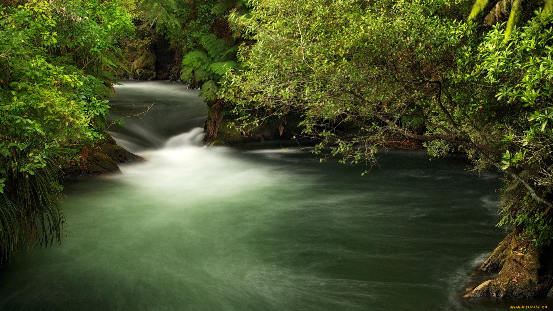 природа, реки, озера, ветки, зелень, кусты, течение, ручей, okere, falls, новая, зеландия