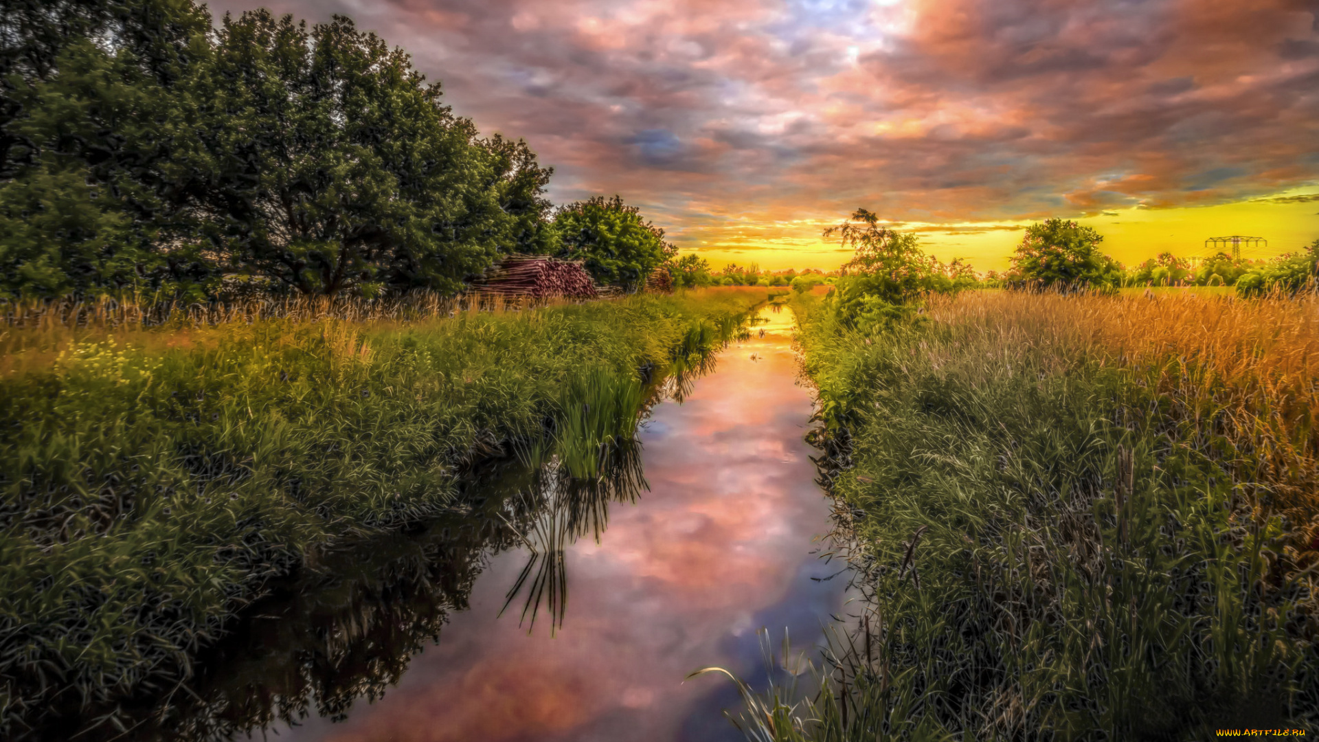 природа, восходы, закаты, лето, поле, деревья, зелень, трава, река, германия, отражение, облака, закат, пейзаж