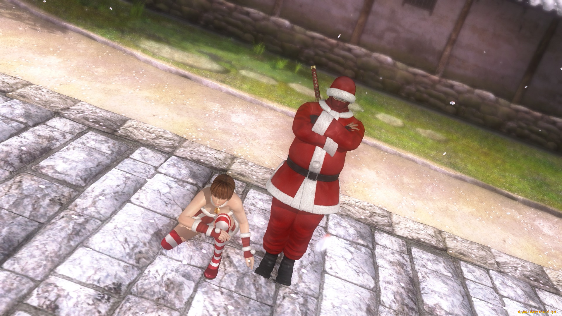 видео, игры, dead, or, alive, 5, персонажи