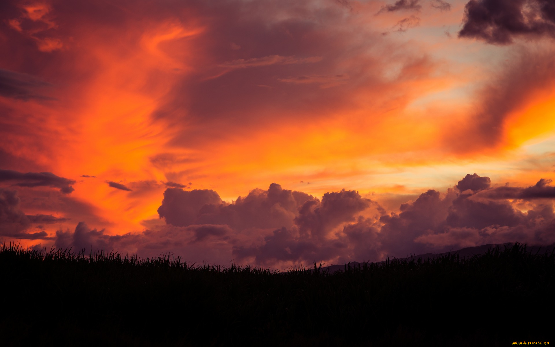 природа, восходы, закаты, закат, пейзаж, небо, sunset, maui