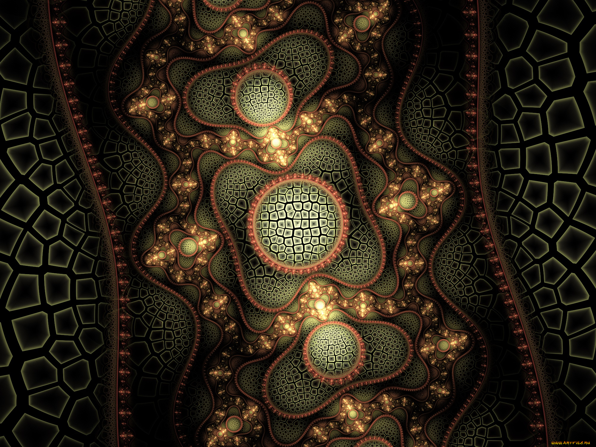 3д, графика, фракталы, , fractal, узор, фон, цвета