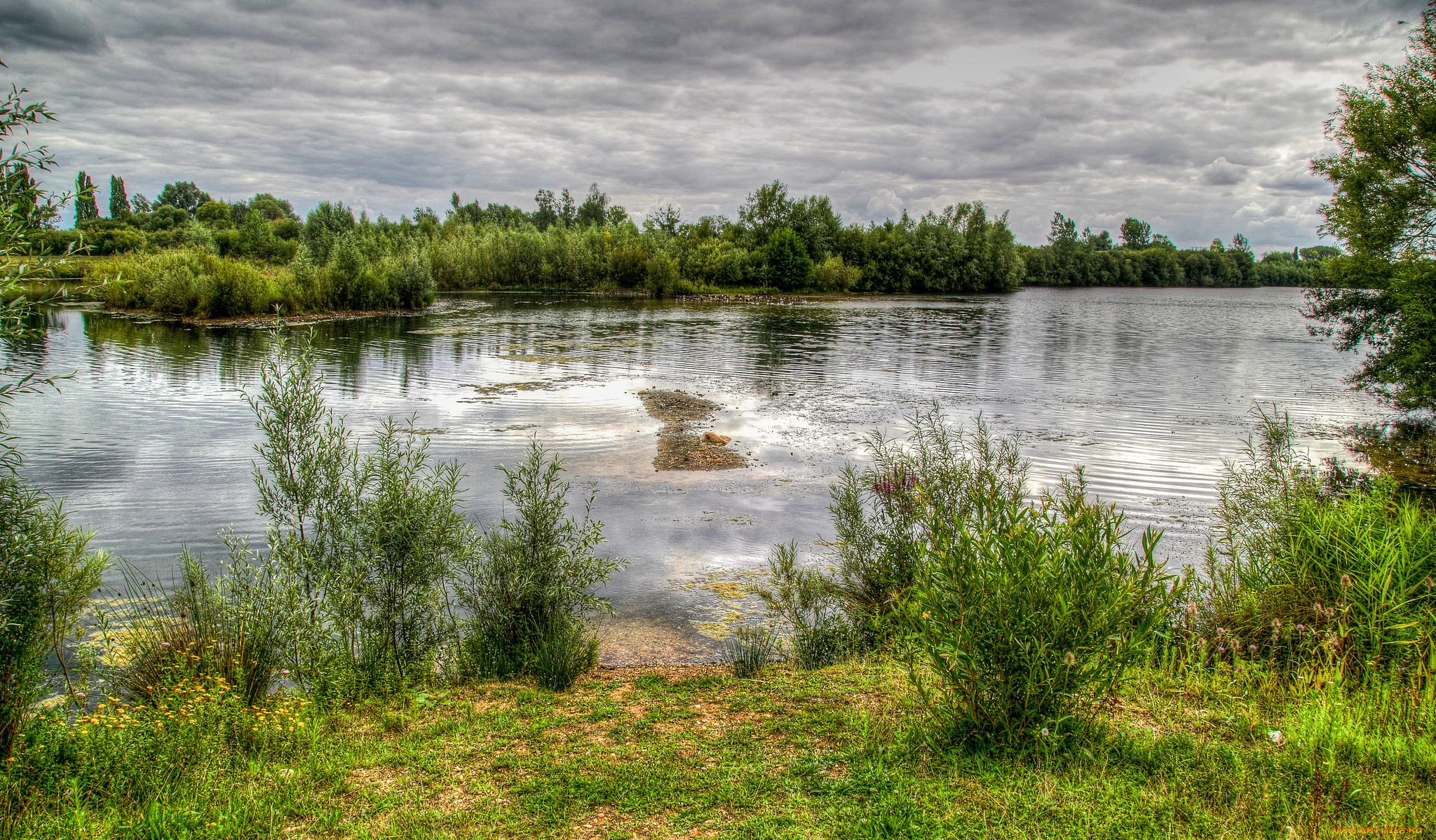 природа, реки, озера, лес, заросли, тучи, река