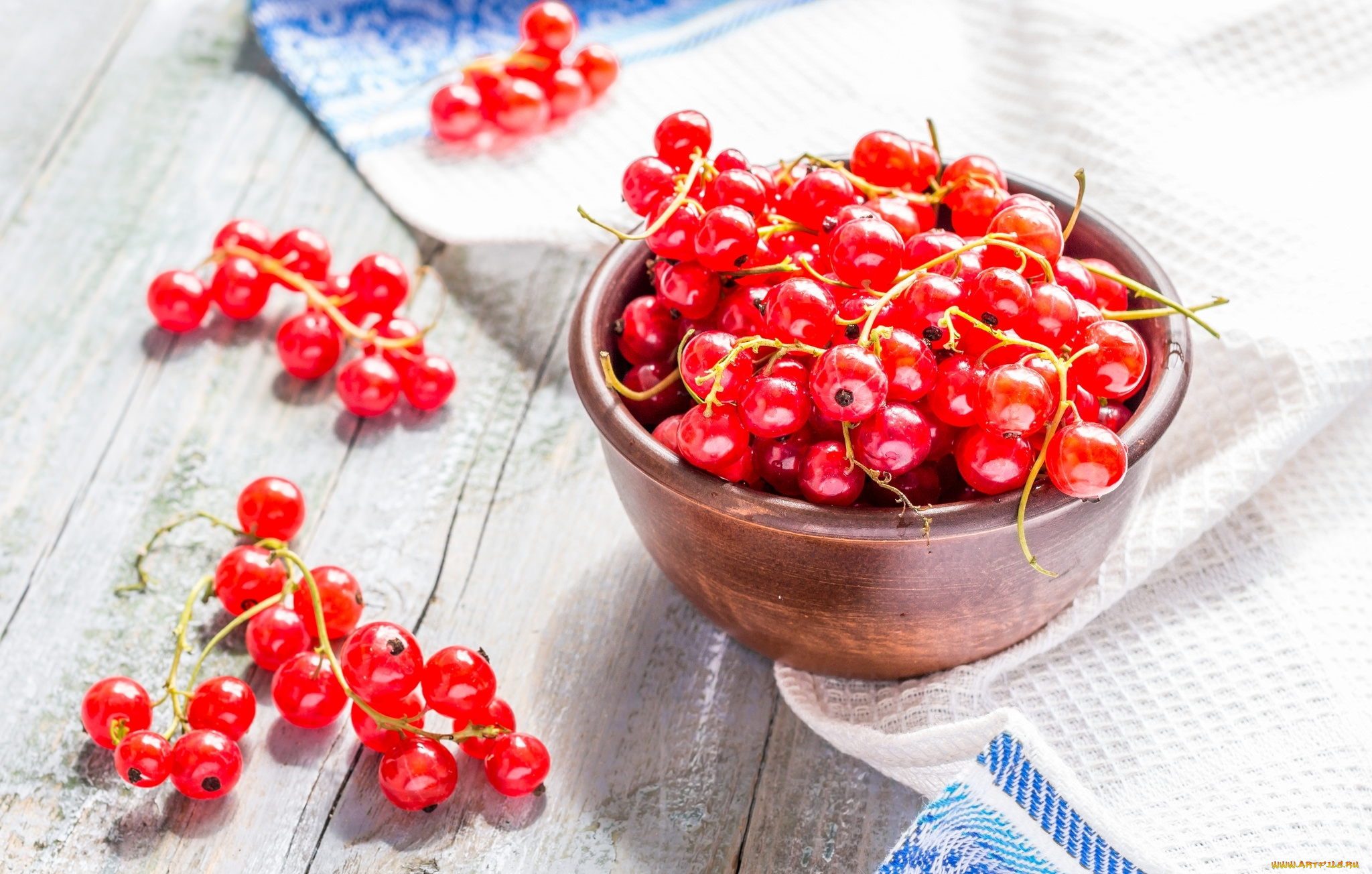 еда, смородина, ягоды, красная