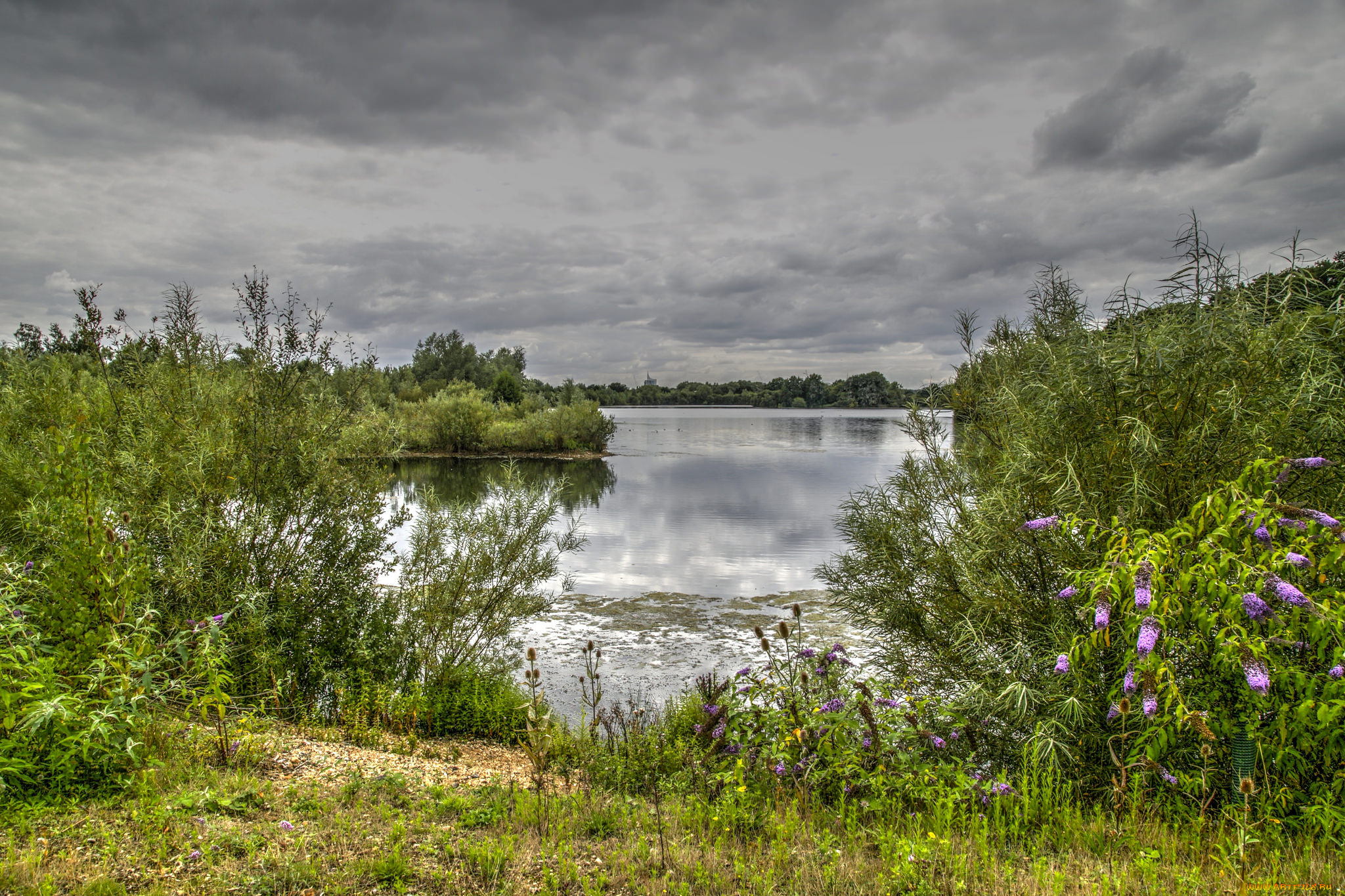 природа, реки, озера, лес, тучи, заросли, река