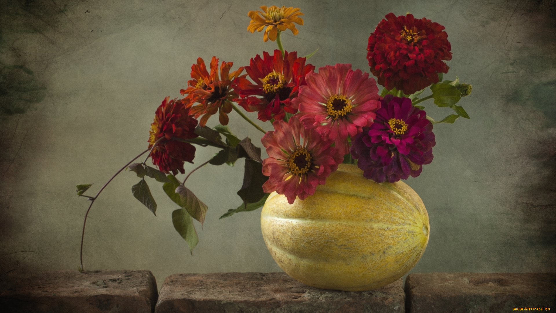 еда, дыня, цинния, композиция