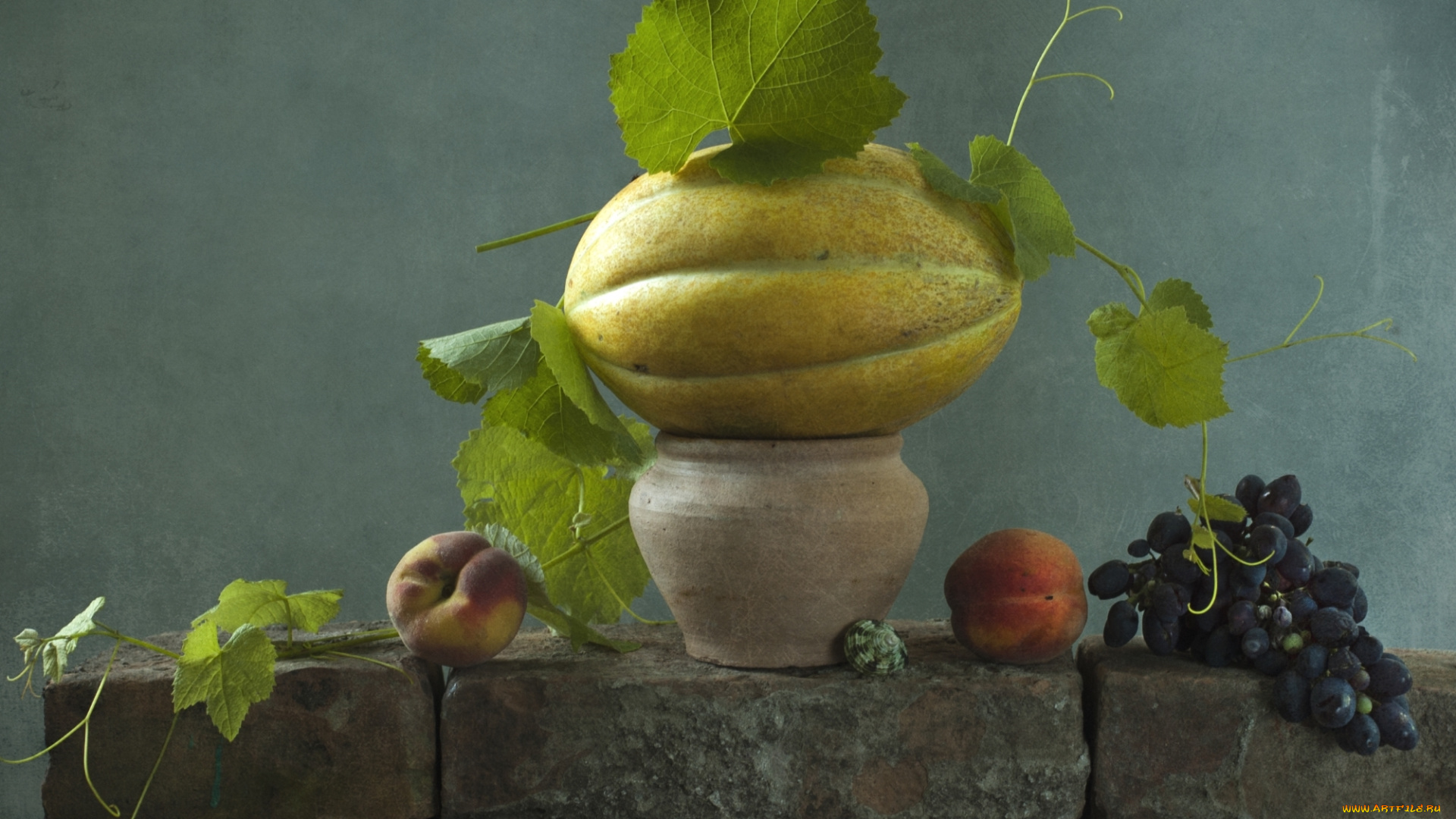 еда, натюрморт, дыня, персик, виноград