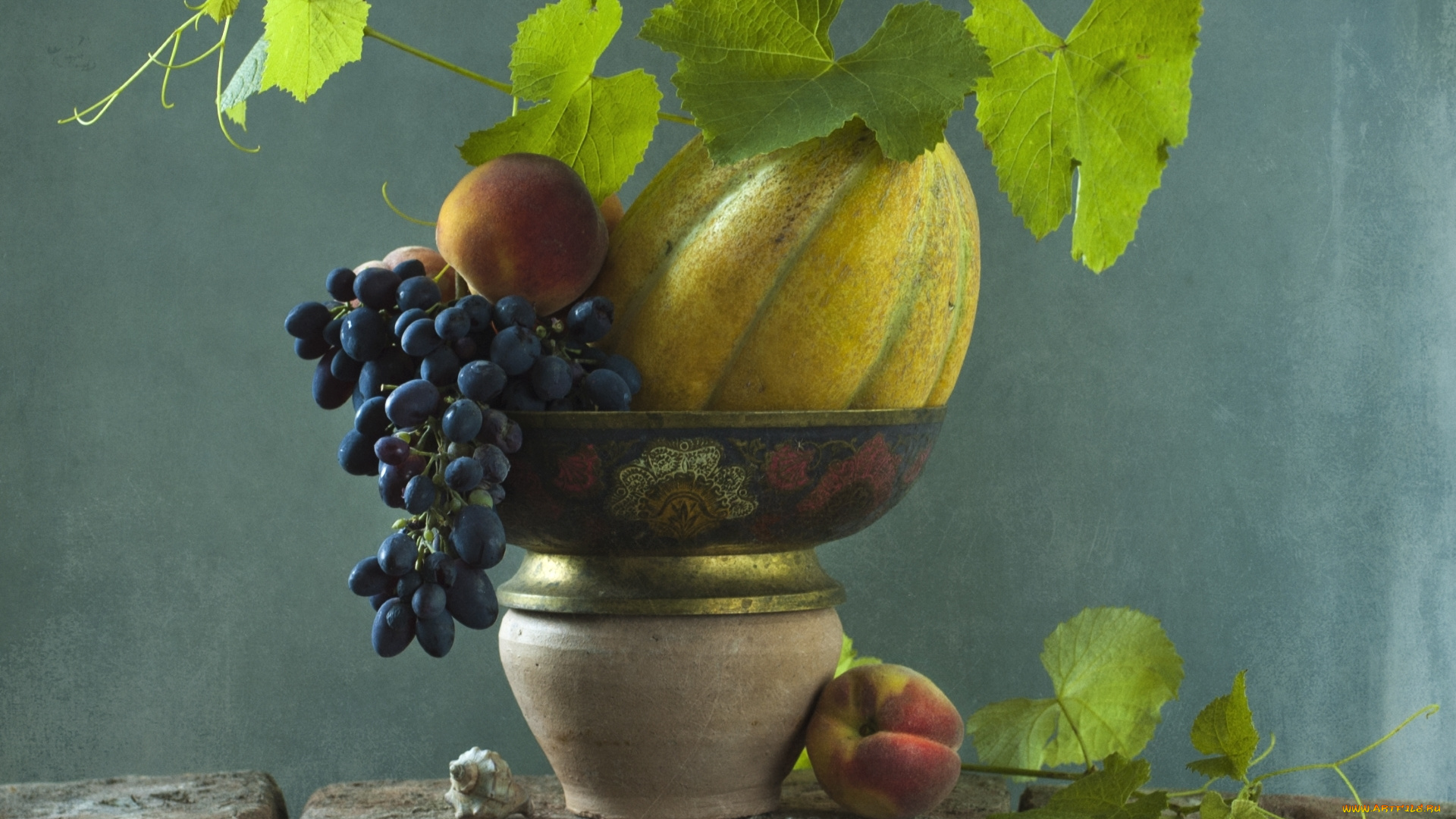 еда, натюрморт, виноград, дыня, персик, ракушка
