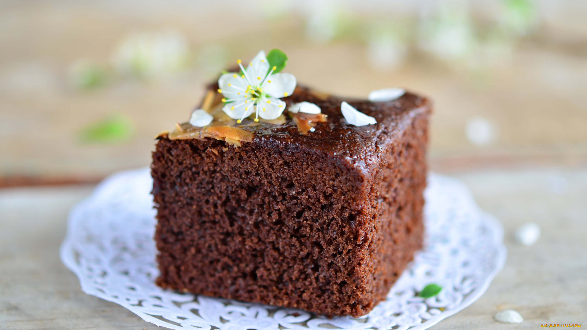 еда, торты, пирожное, шоколад, десерт