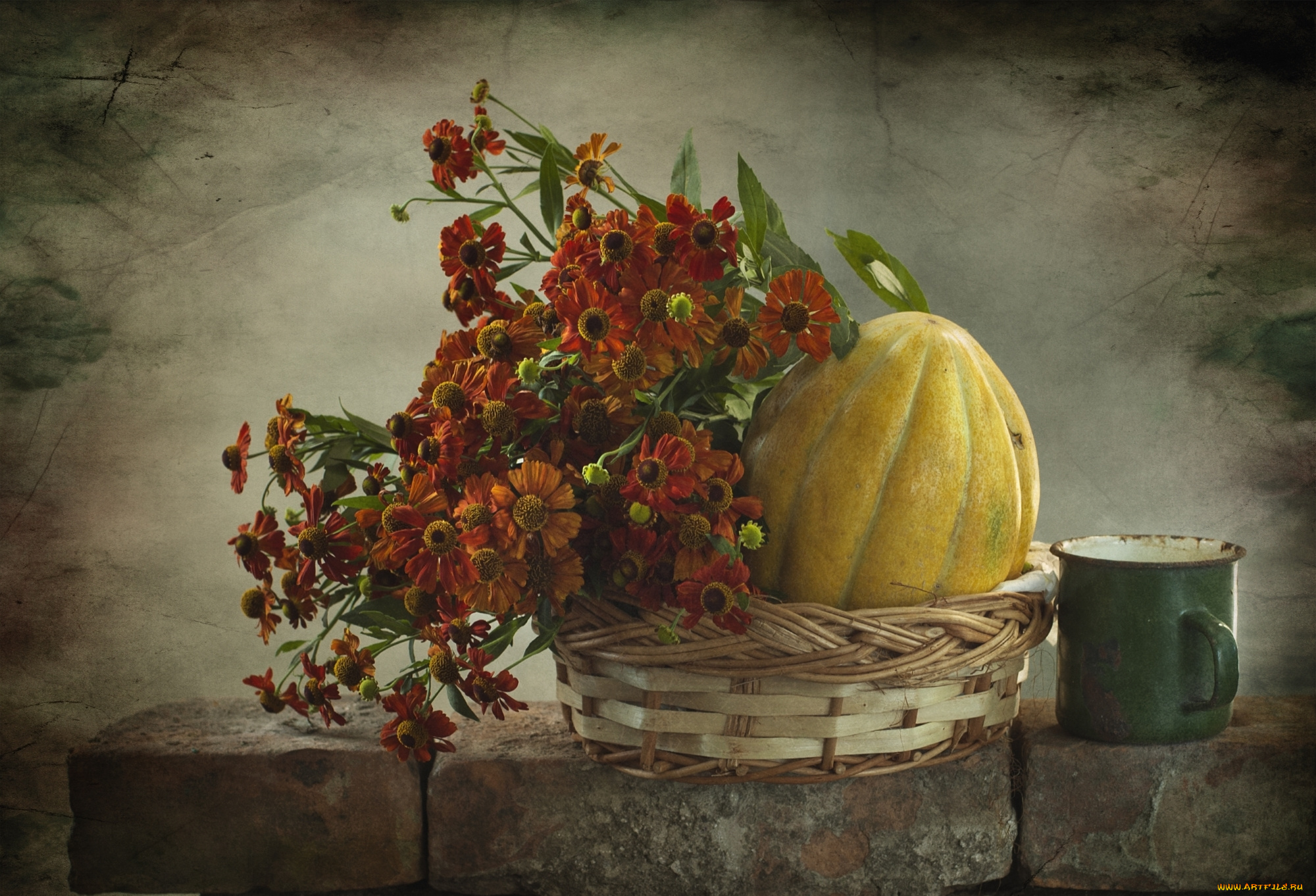 еда, дыня, гайлардия, кружка