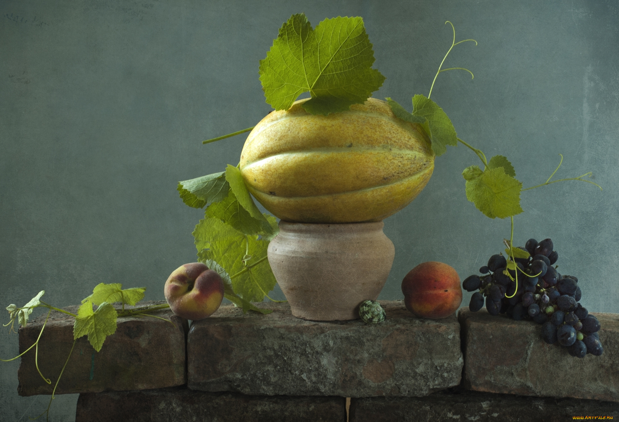 еда, натюрморт, дыня, персик, виноград