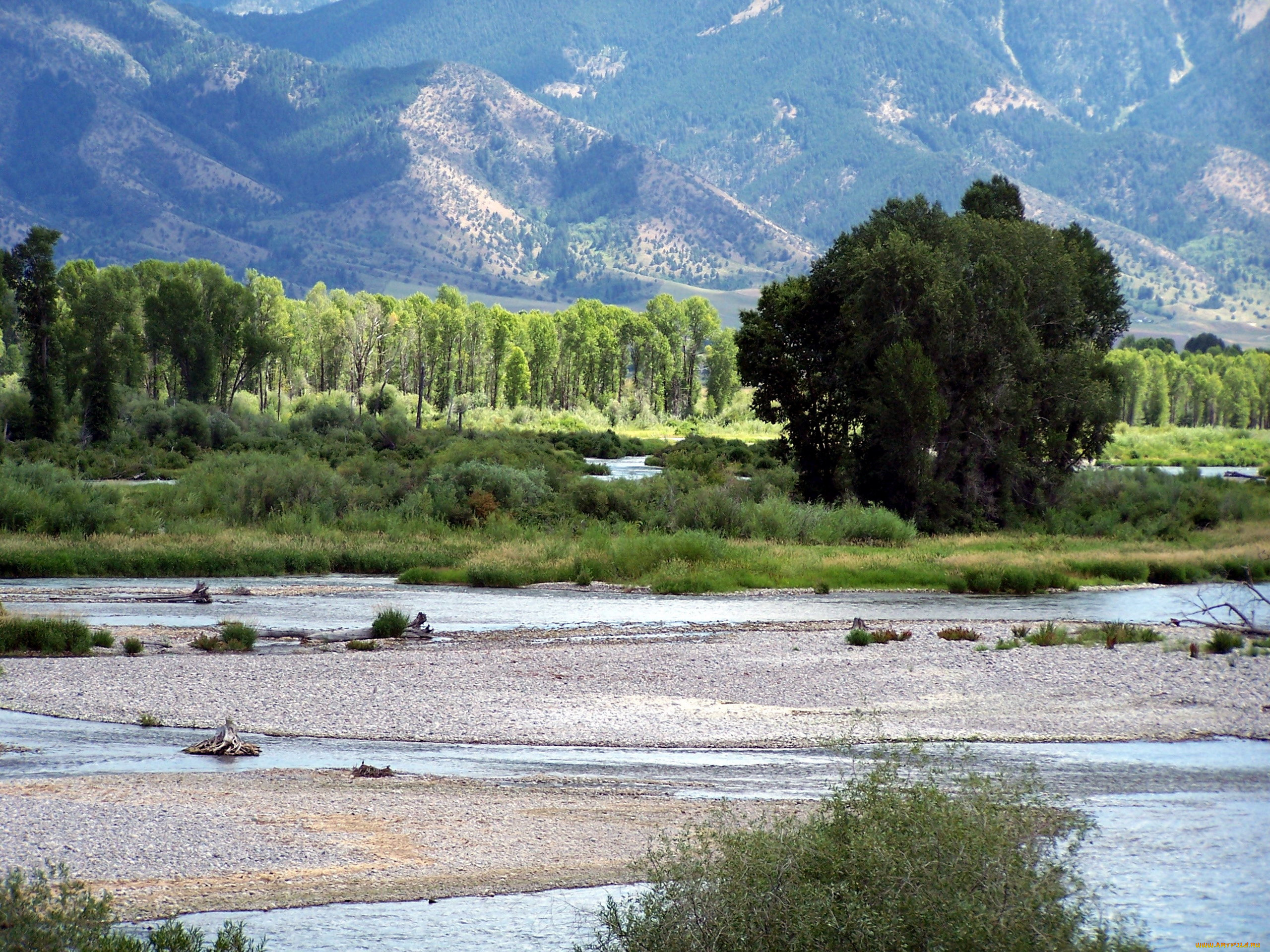 природа, реки, озера, горы, река, деревья