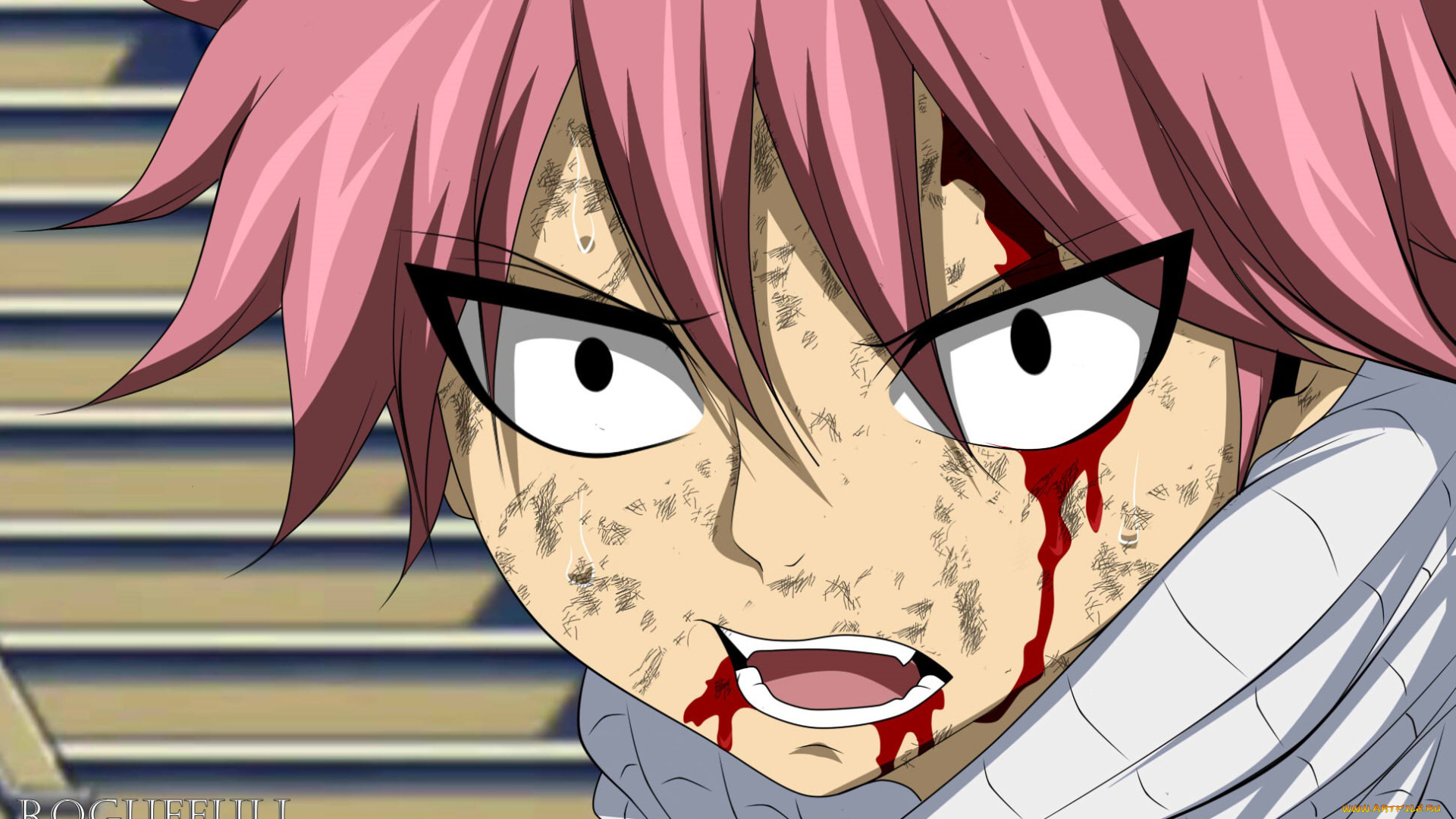 аниме, fairy, tail, хвост, феи