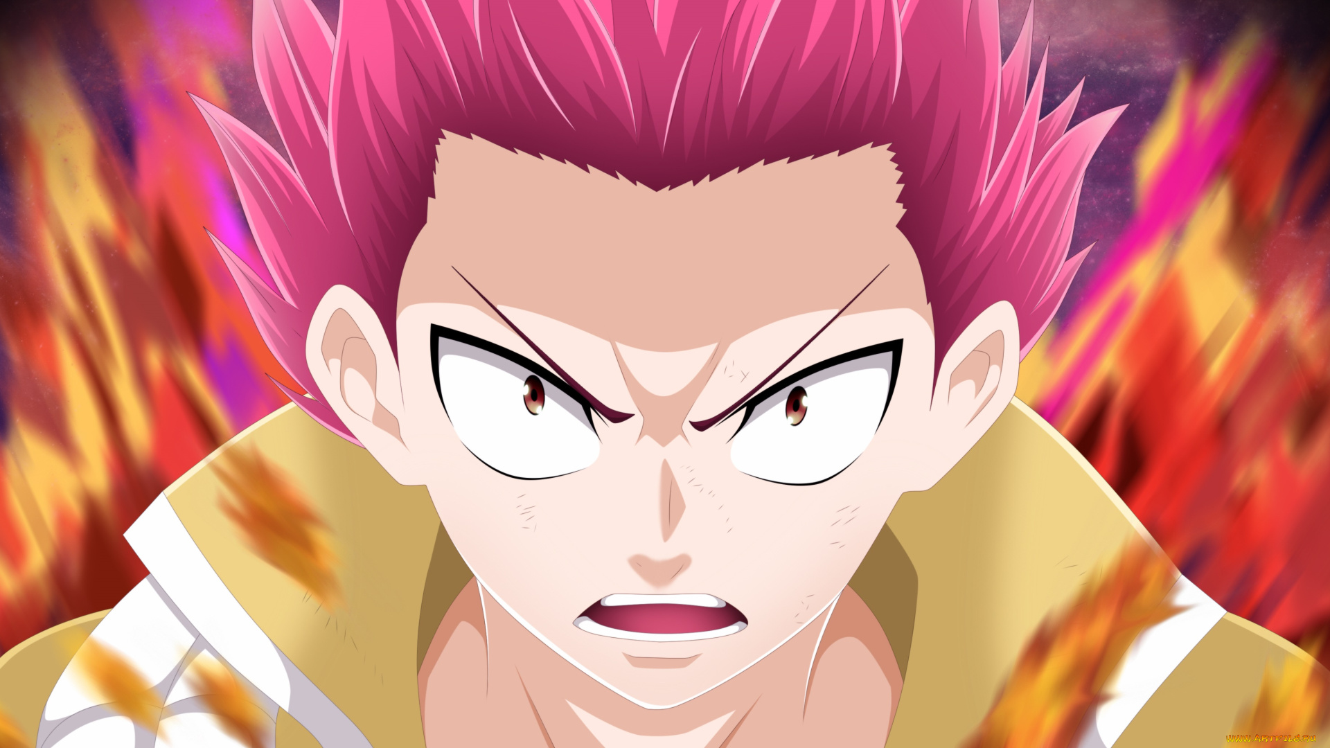 аниме, fairy, tail, хвост, феи