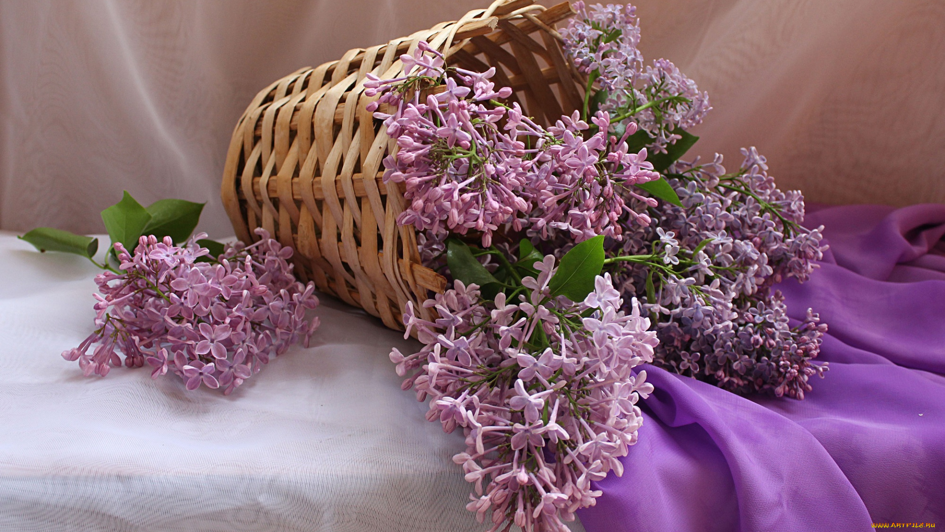 цветы, сирень, корзина, букет, весна, натюрморт