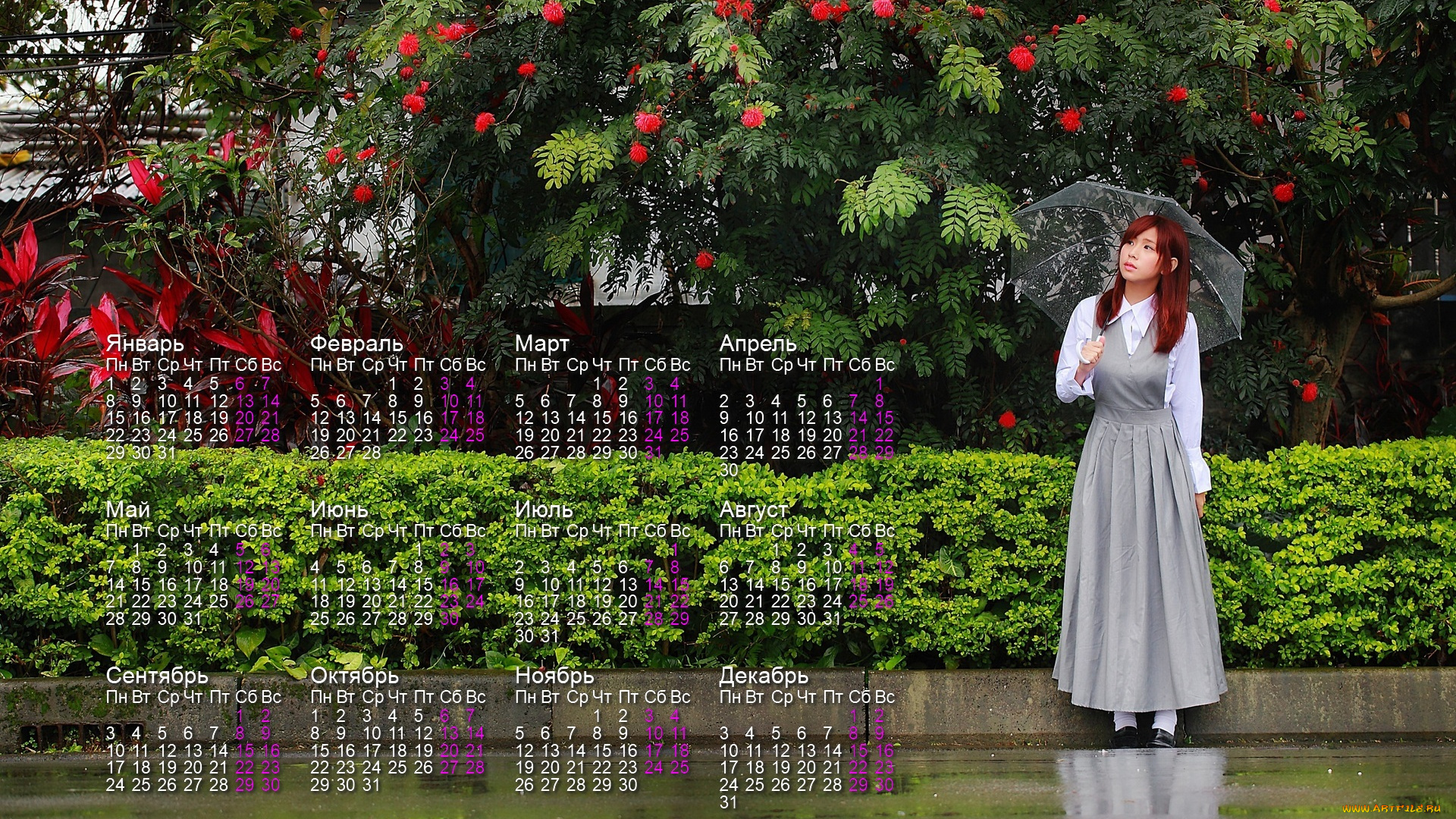 календари, девушки, зонт, азиатка, растения, дорога, деревья