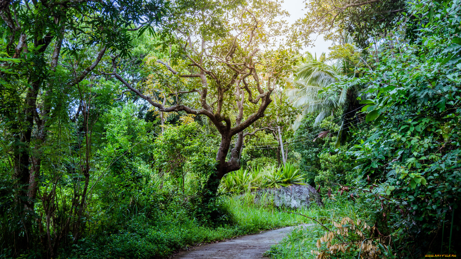 природа, дороги, простор