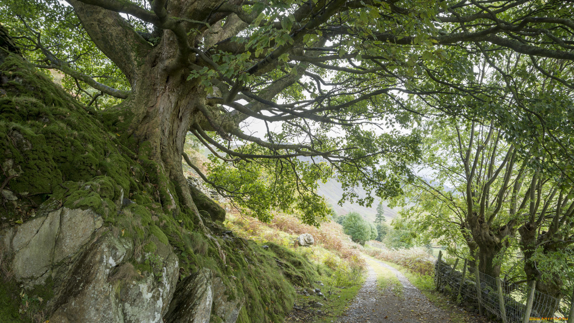 природа, дороги, простор