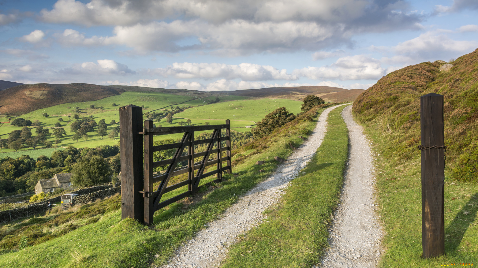 природа, дороги, простор