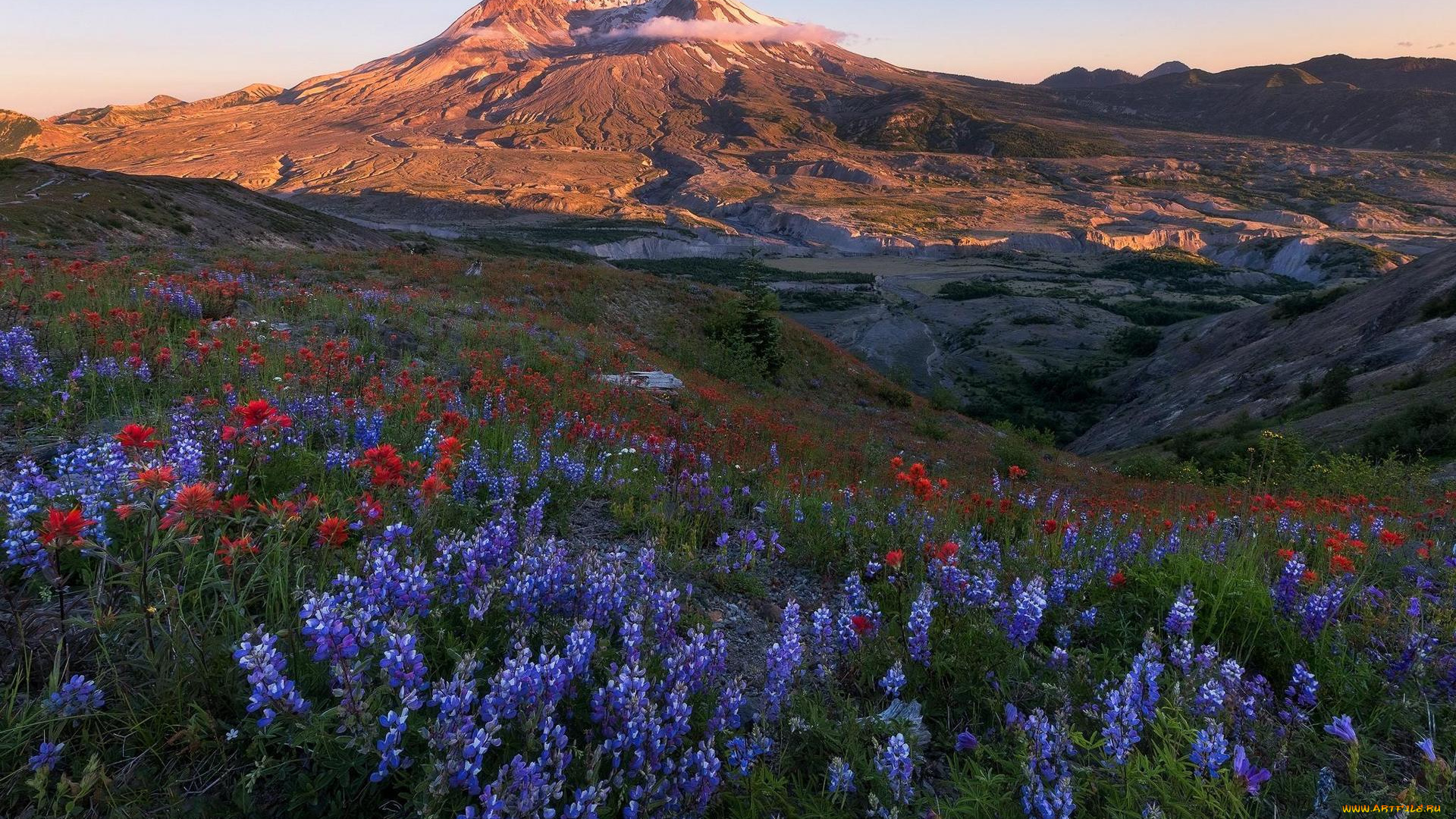 природа, луга, горы, луг