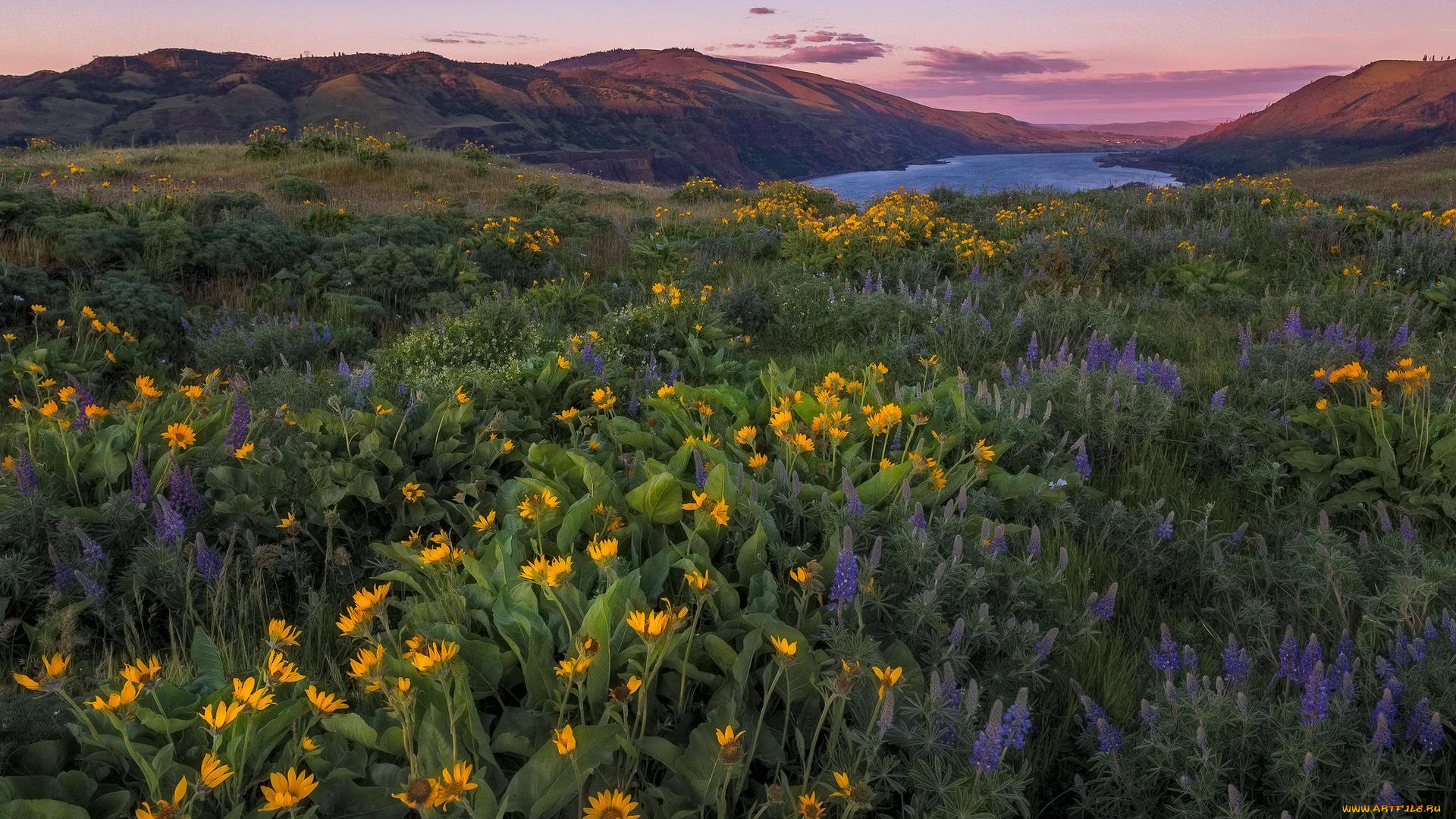 природа, луга, луг, горы