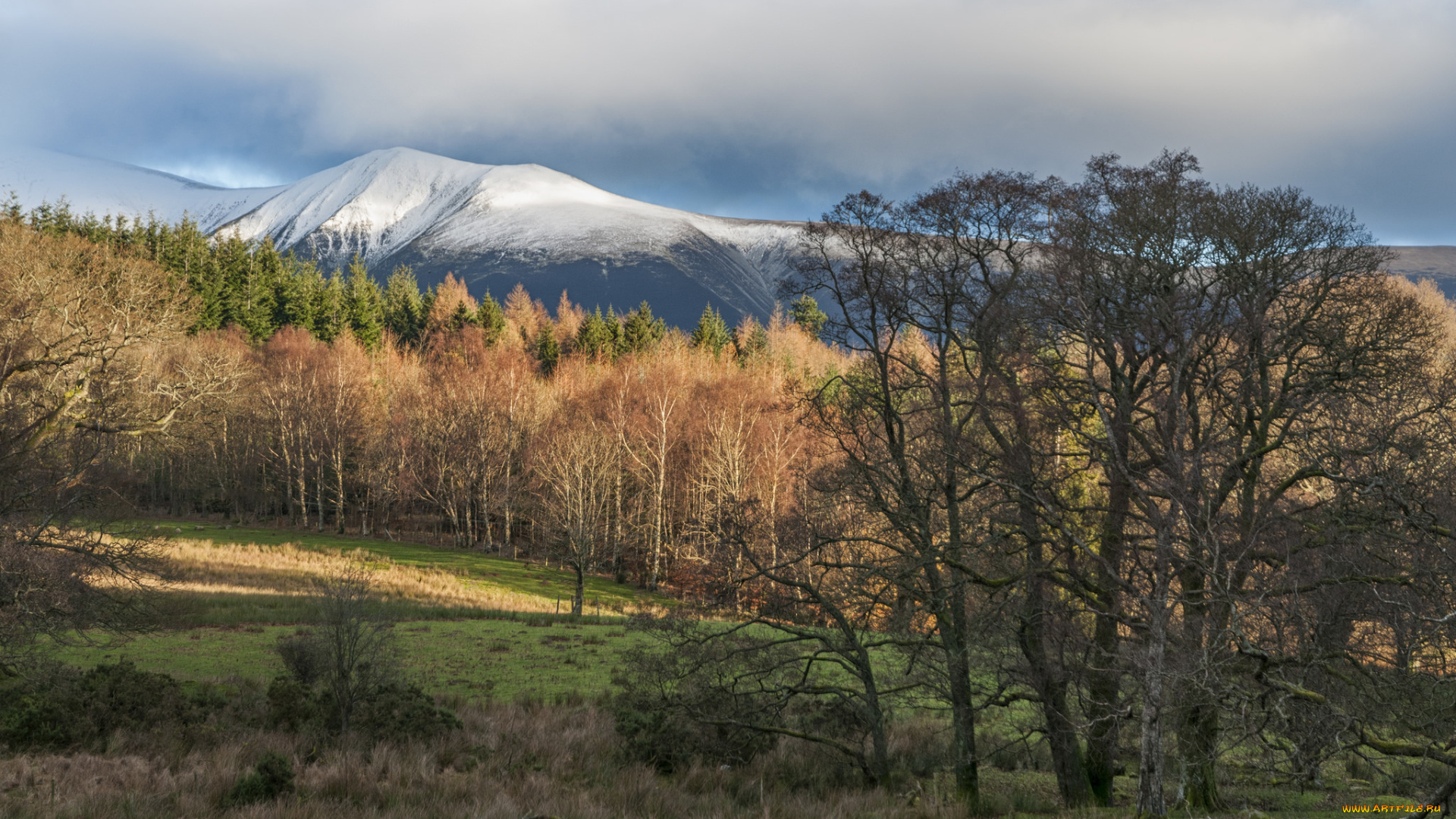 природа, пейзажи, простор
