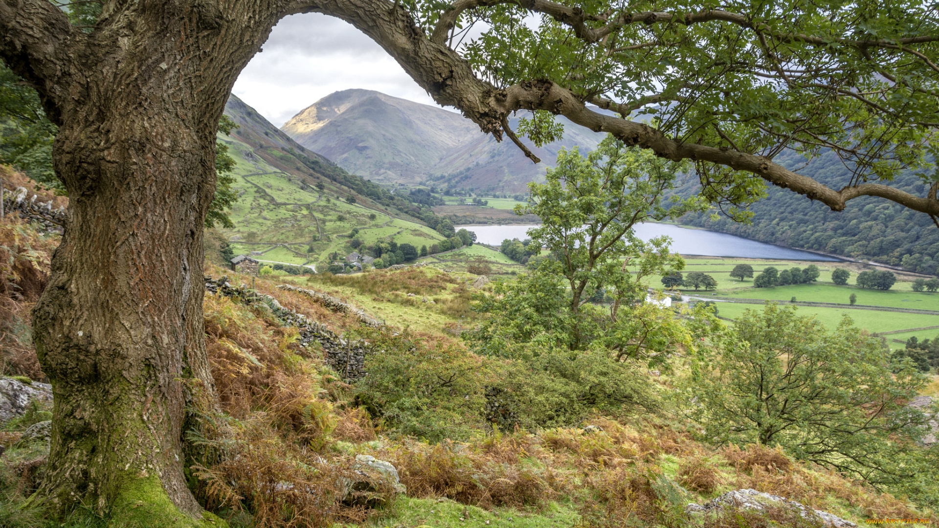 природа, пейзажи, простор