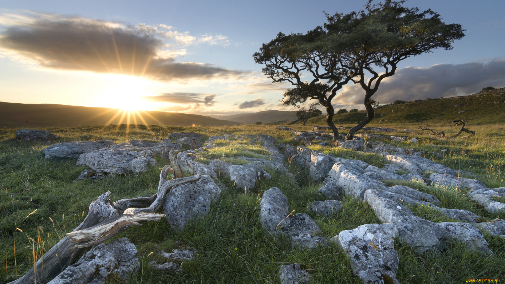 природа, пейзажи, простор