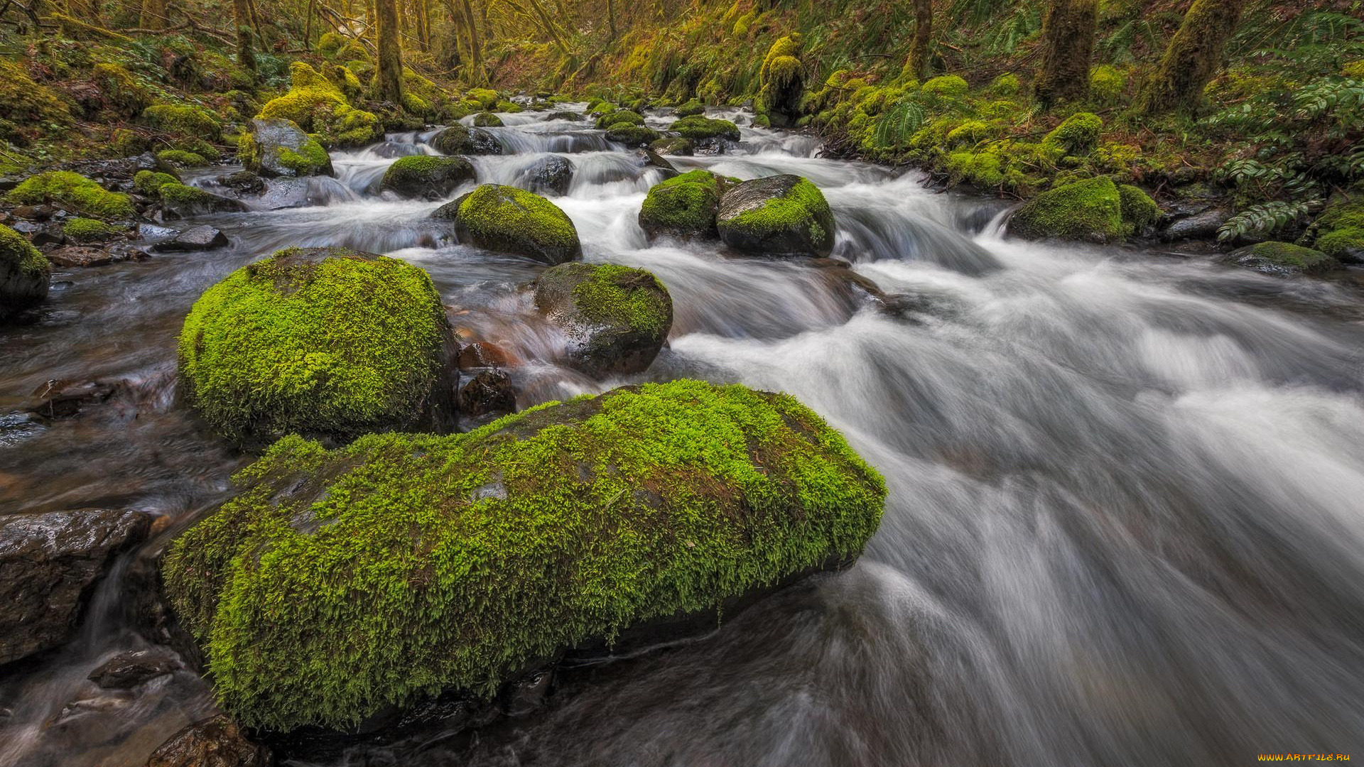 природа, реки, озера, деревья, скалы, водопад