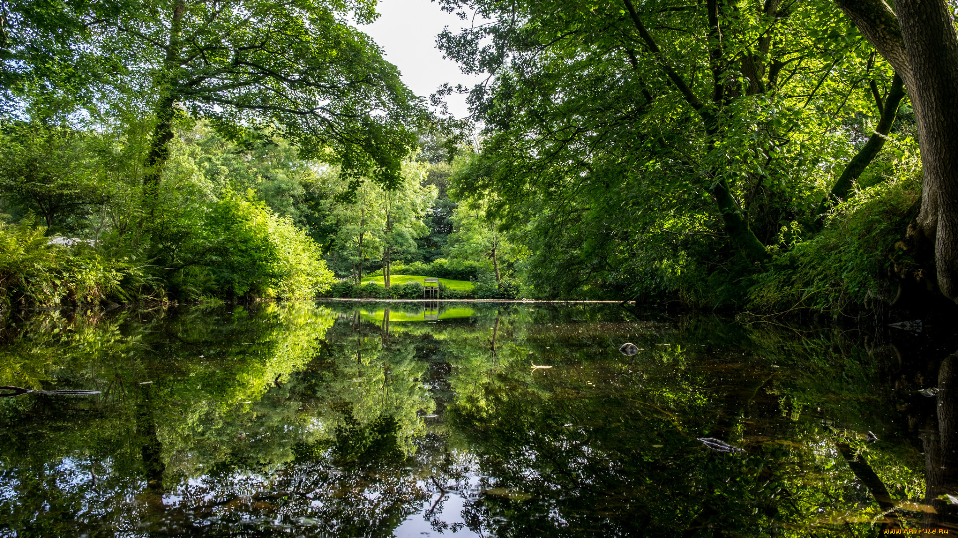 природа, реки, озера, простор