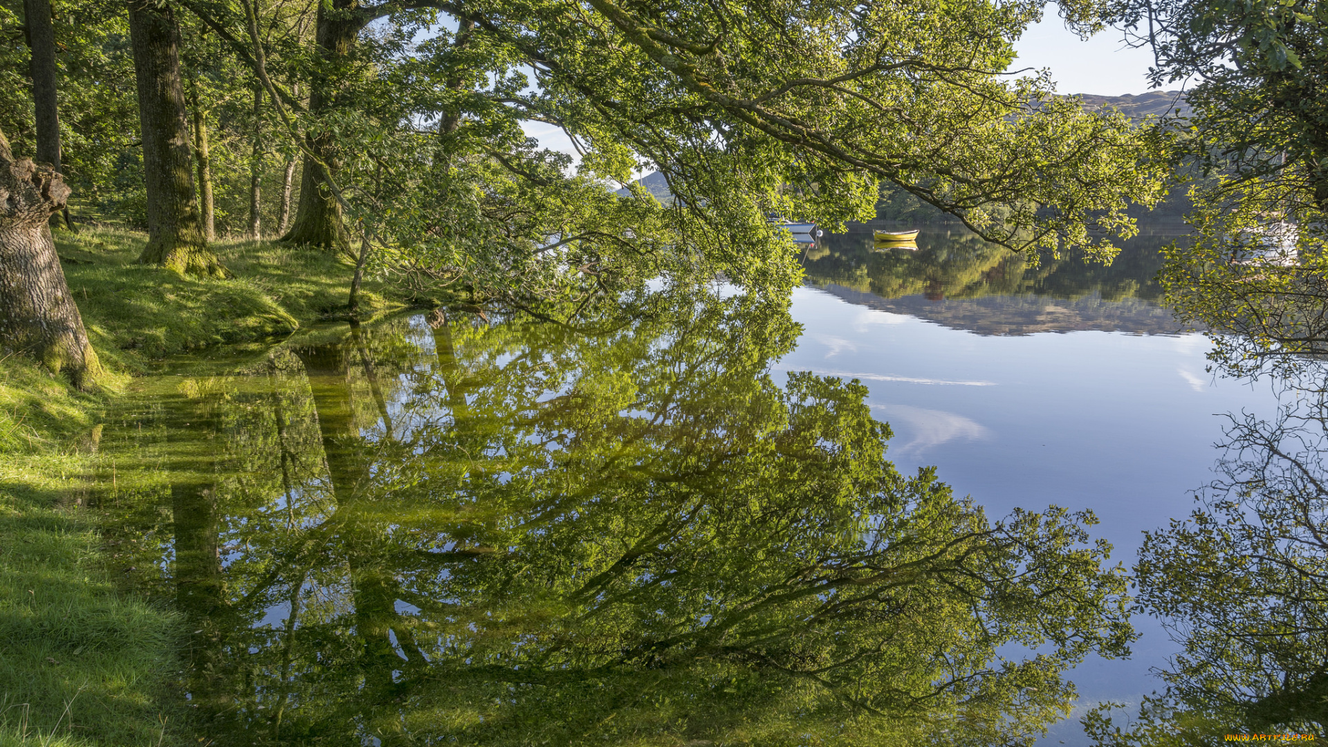 природа, реки, озера, простор