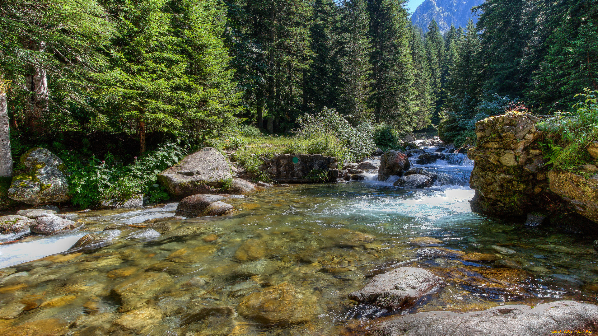 природа, реки, озера, простор