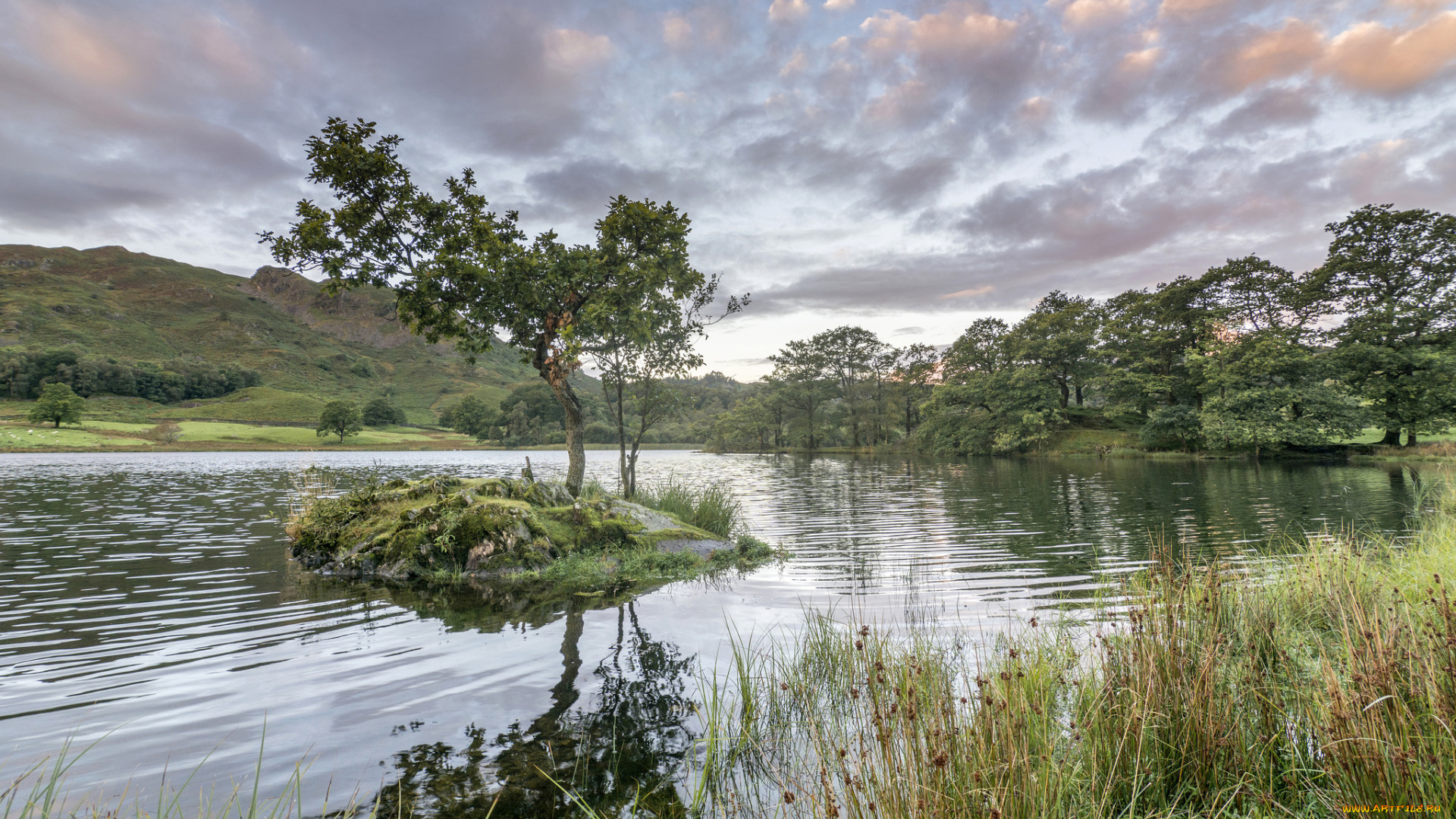 природа, реки, озера, простор