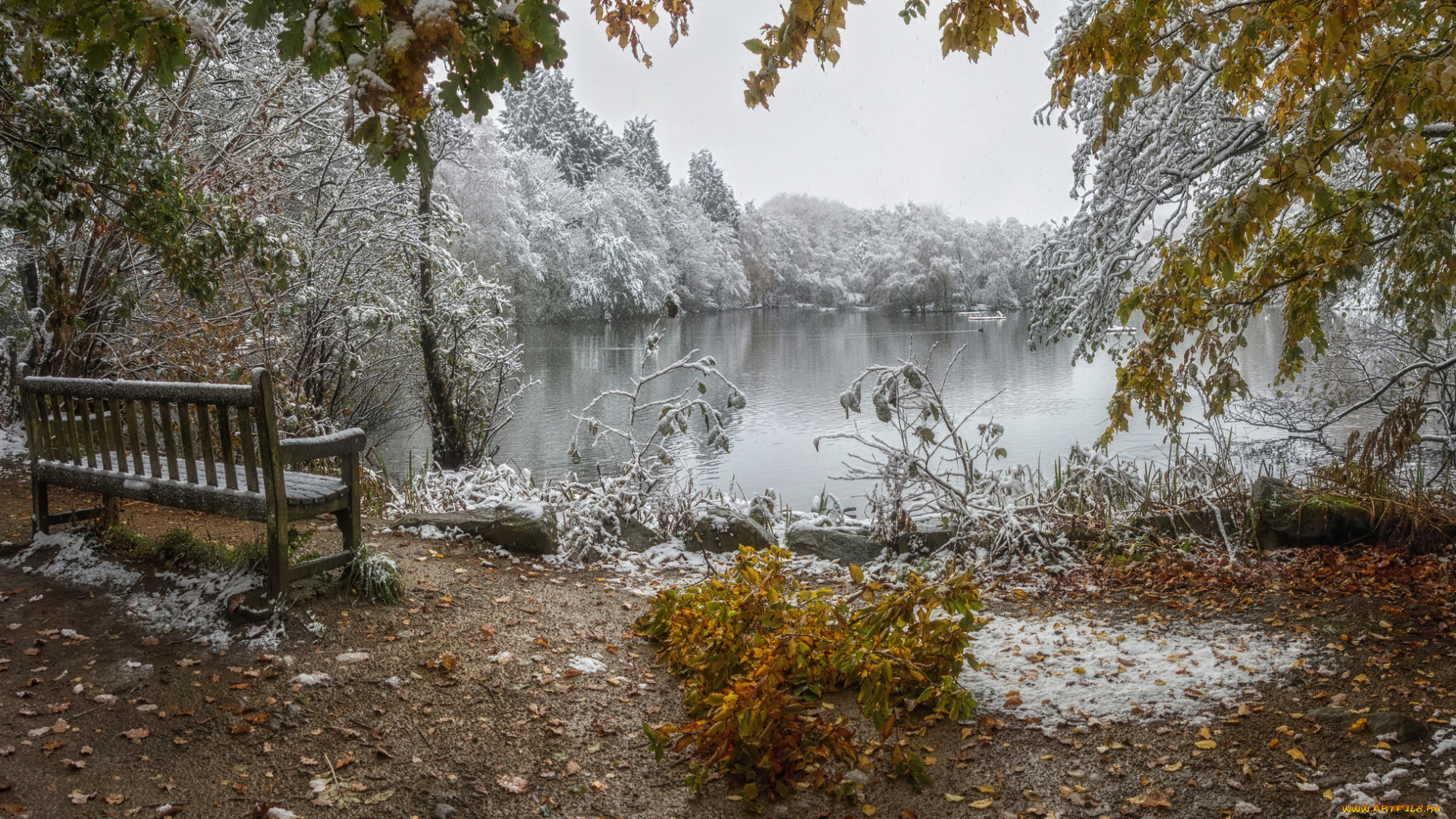 природа, реки, озера, простор