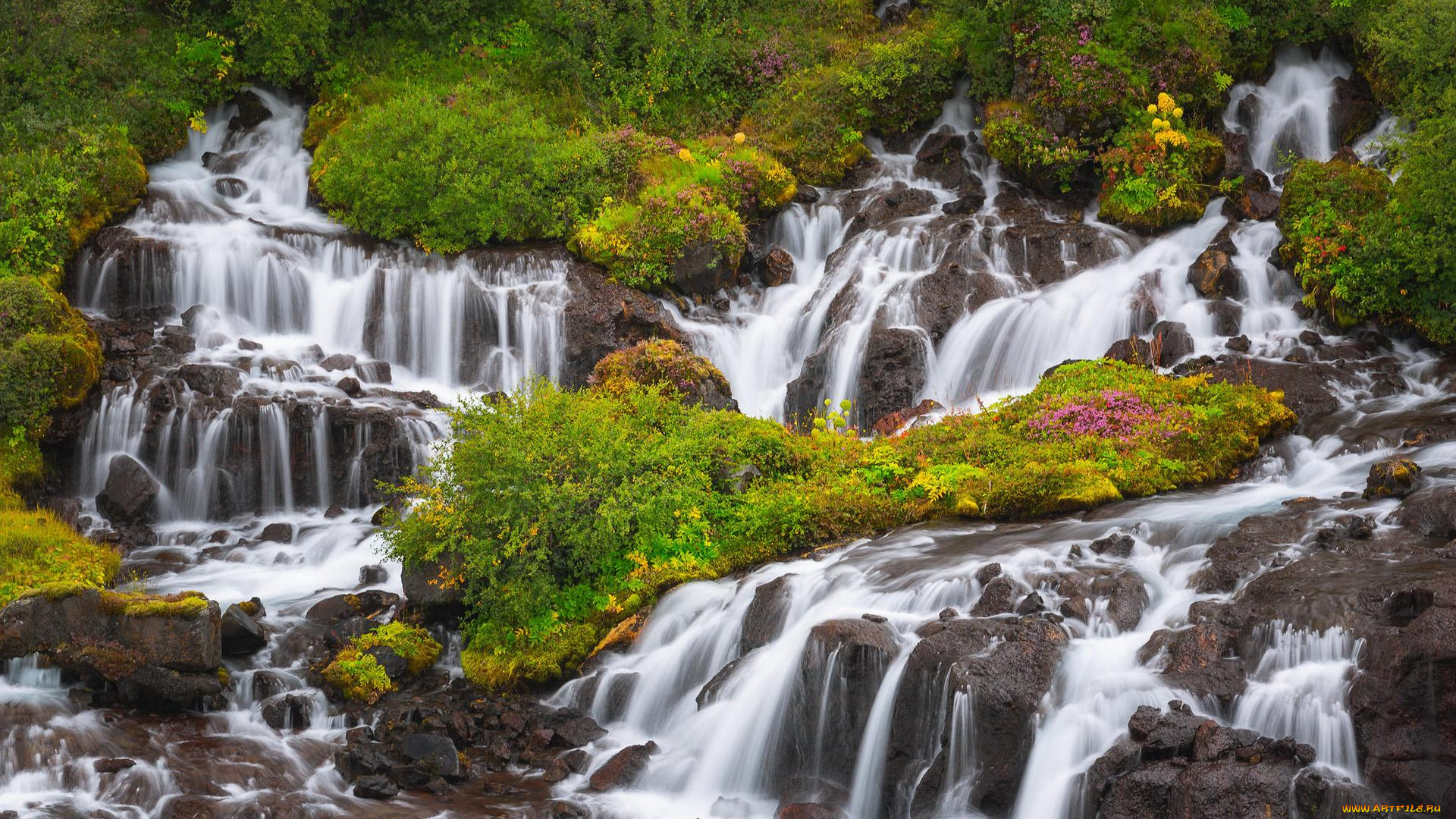 природа, водопады, австралия, tasmania, река, liffey, falls, водопад