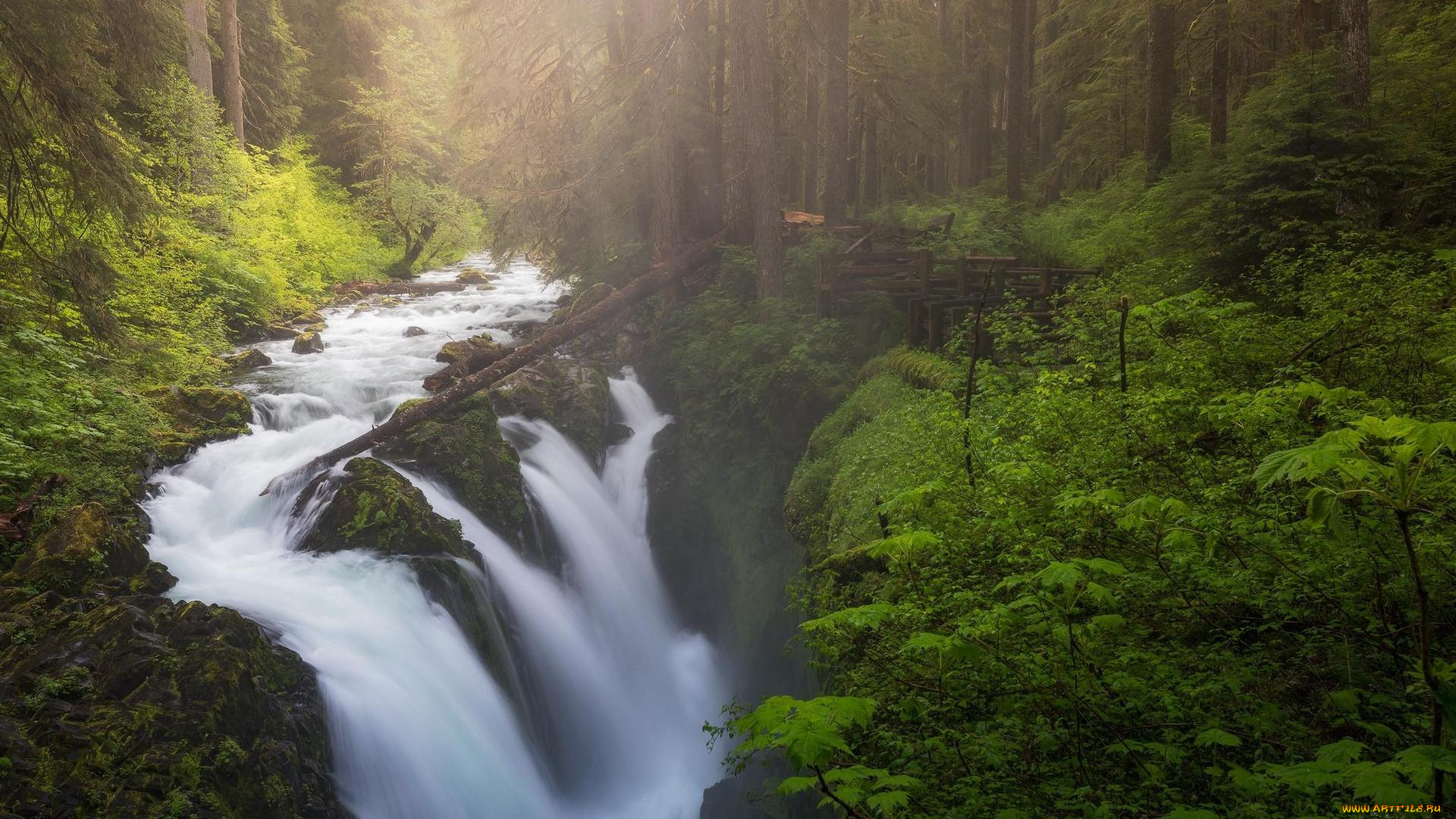 природа, восходы, закаты, деревья, водопад, скалы