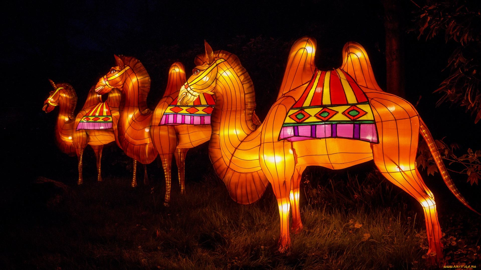 разное, иллюминация, верблюды, вечер, зоопарк, китай, огни, фигура