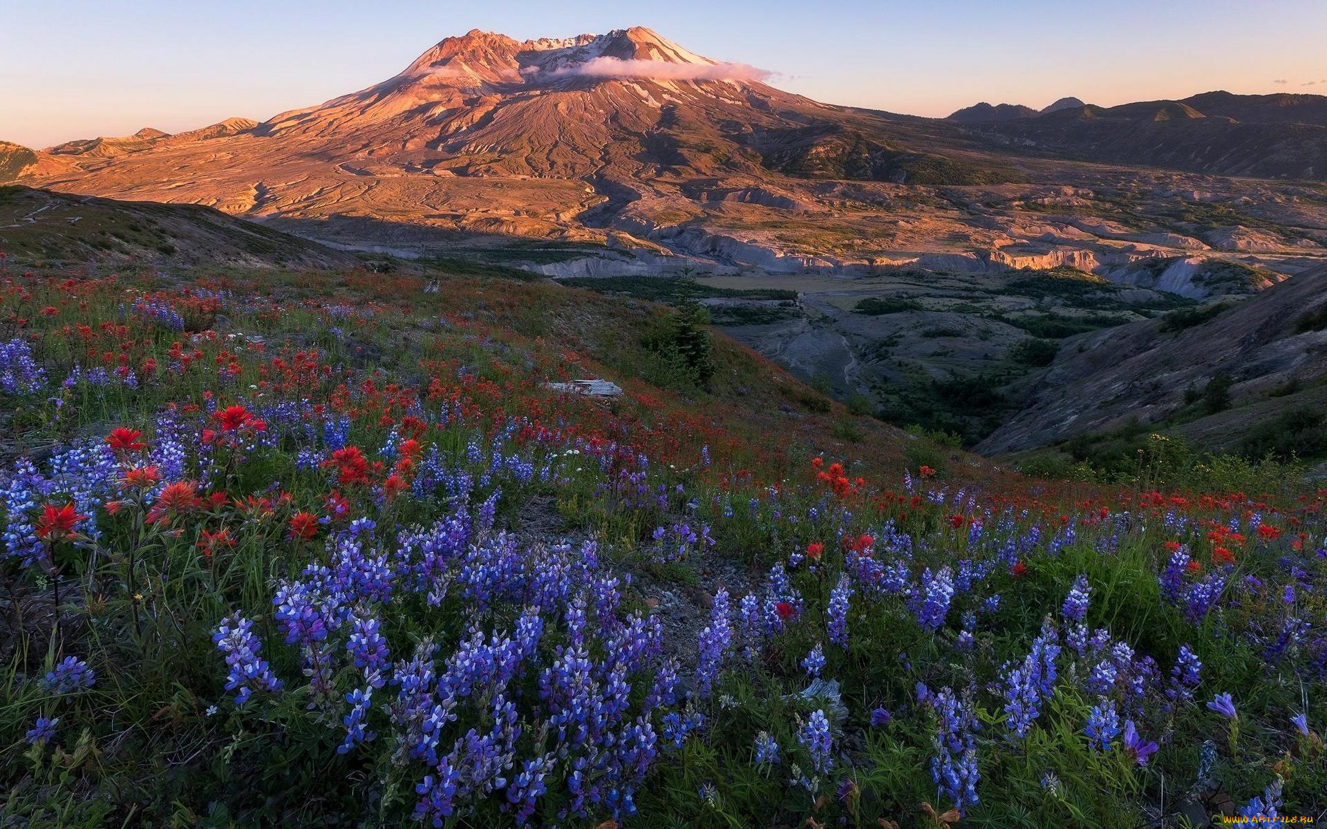 природа, луга, горы, луг