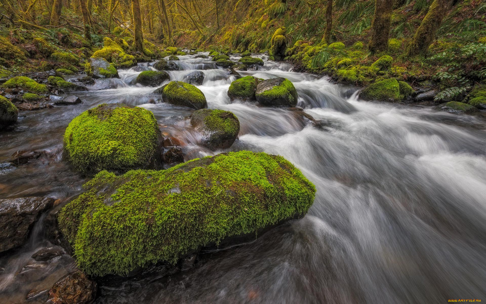 природа, реки, озера, деревья, скалы, водопад