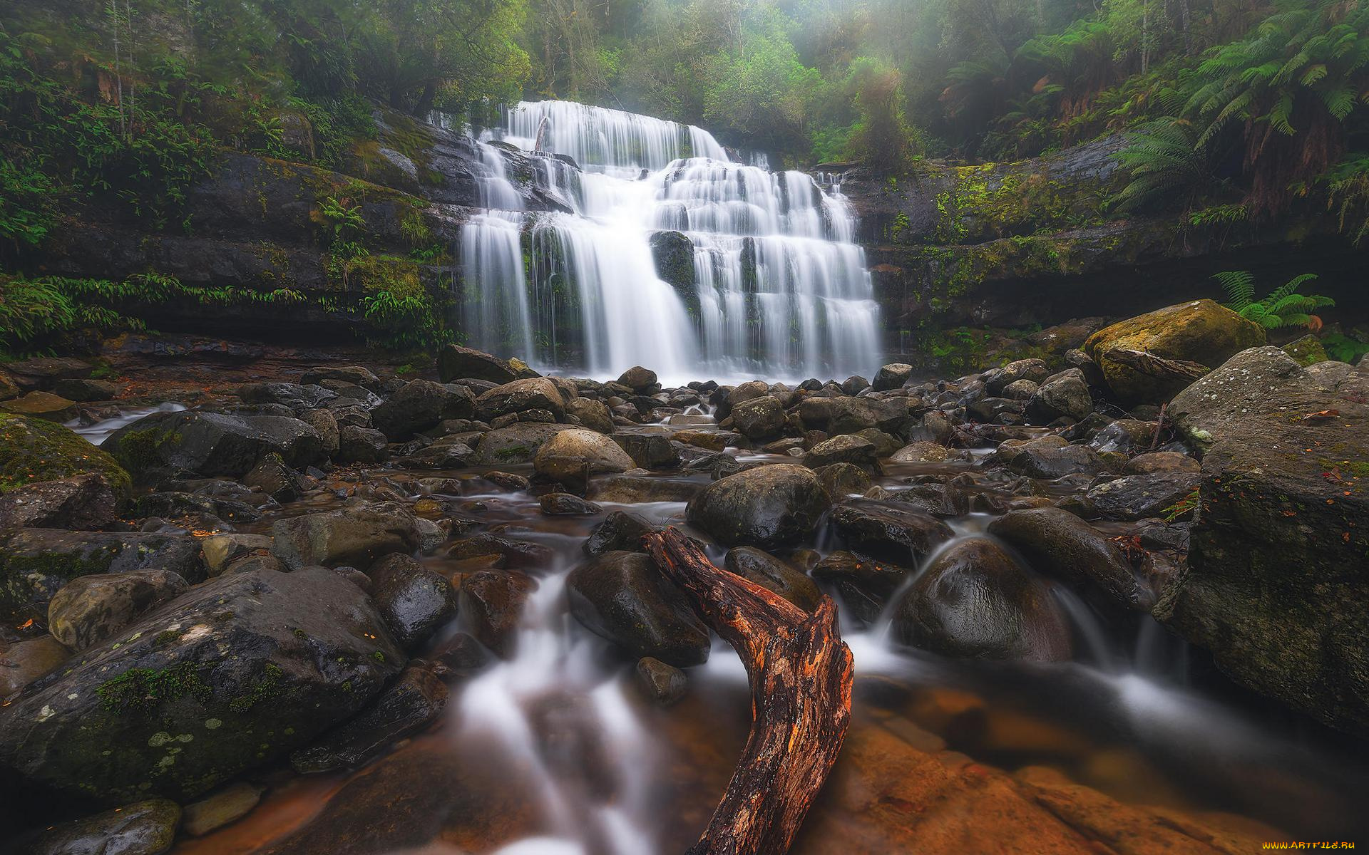 природа, водопады, liffey, falls, tasmania, река, водопад, австралия