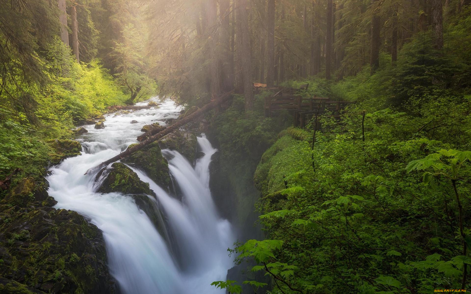 природа, восходы, закаты, деревья, водопад, скалы